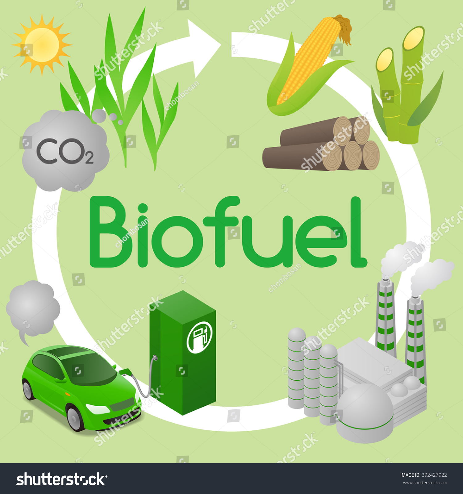 「Biofuel Life Cycle Biomass Ethanol Diagram」のベクター画像素材（ロイヤリティフリー ...