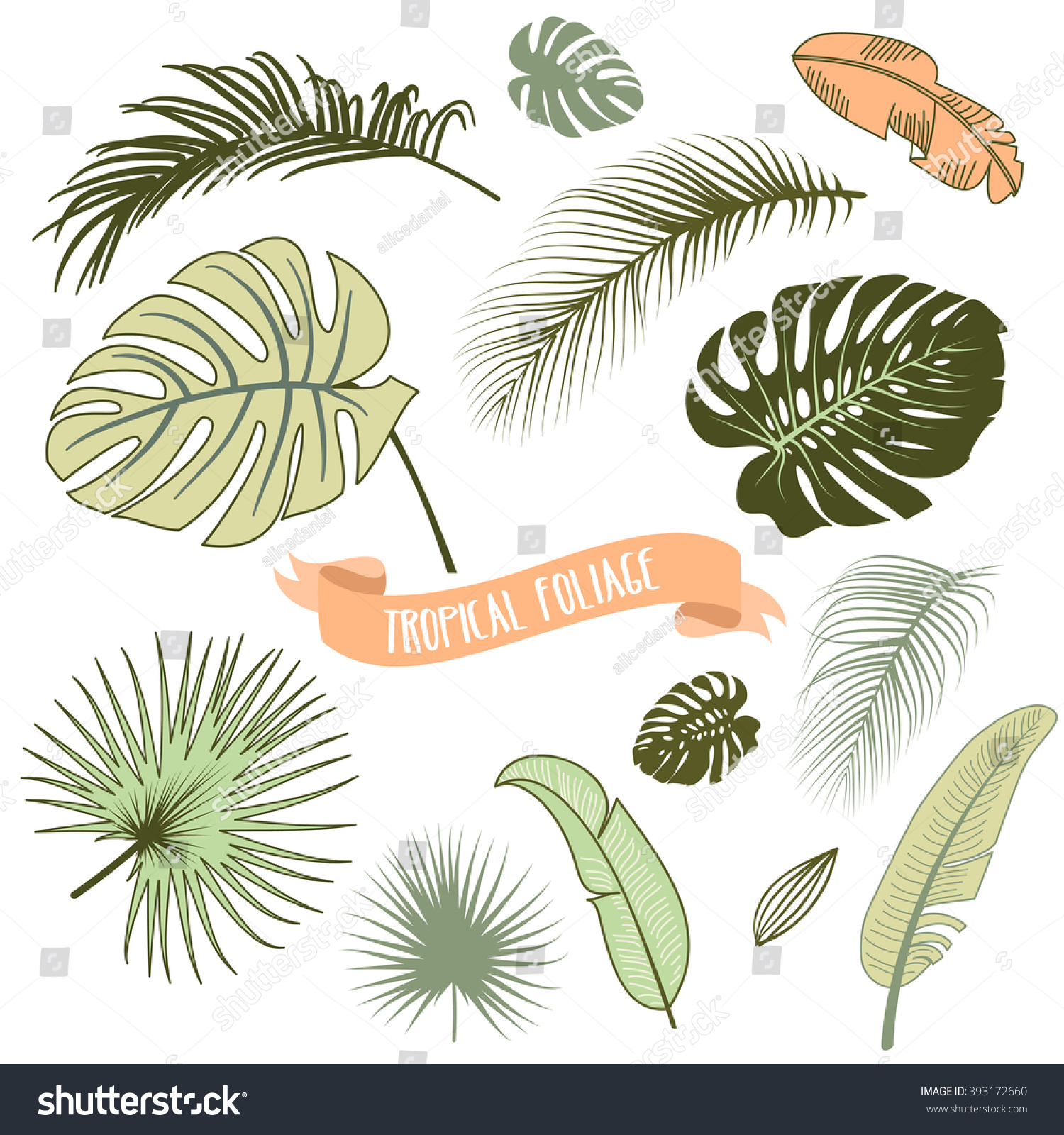 Set Trendy Tropical Leaves Vector Illustration Stock Vector Royalty Free Shutterstock