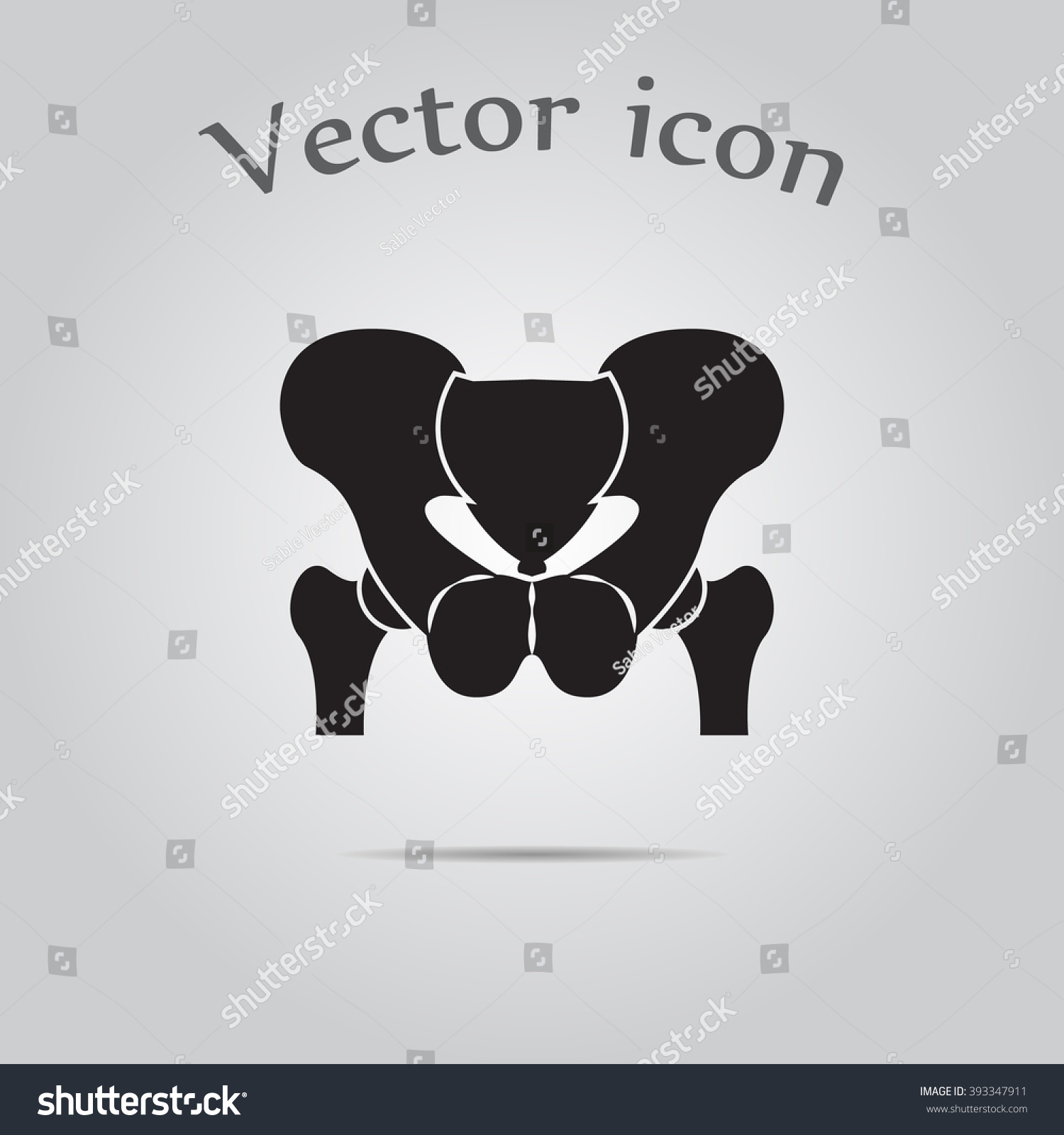 Anatomy Pelvis Icon Stock Vector (Royalty Free) 393347911 | Shutterstock