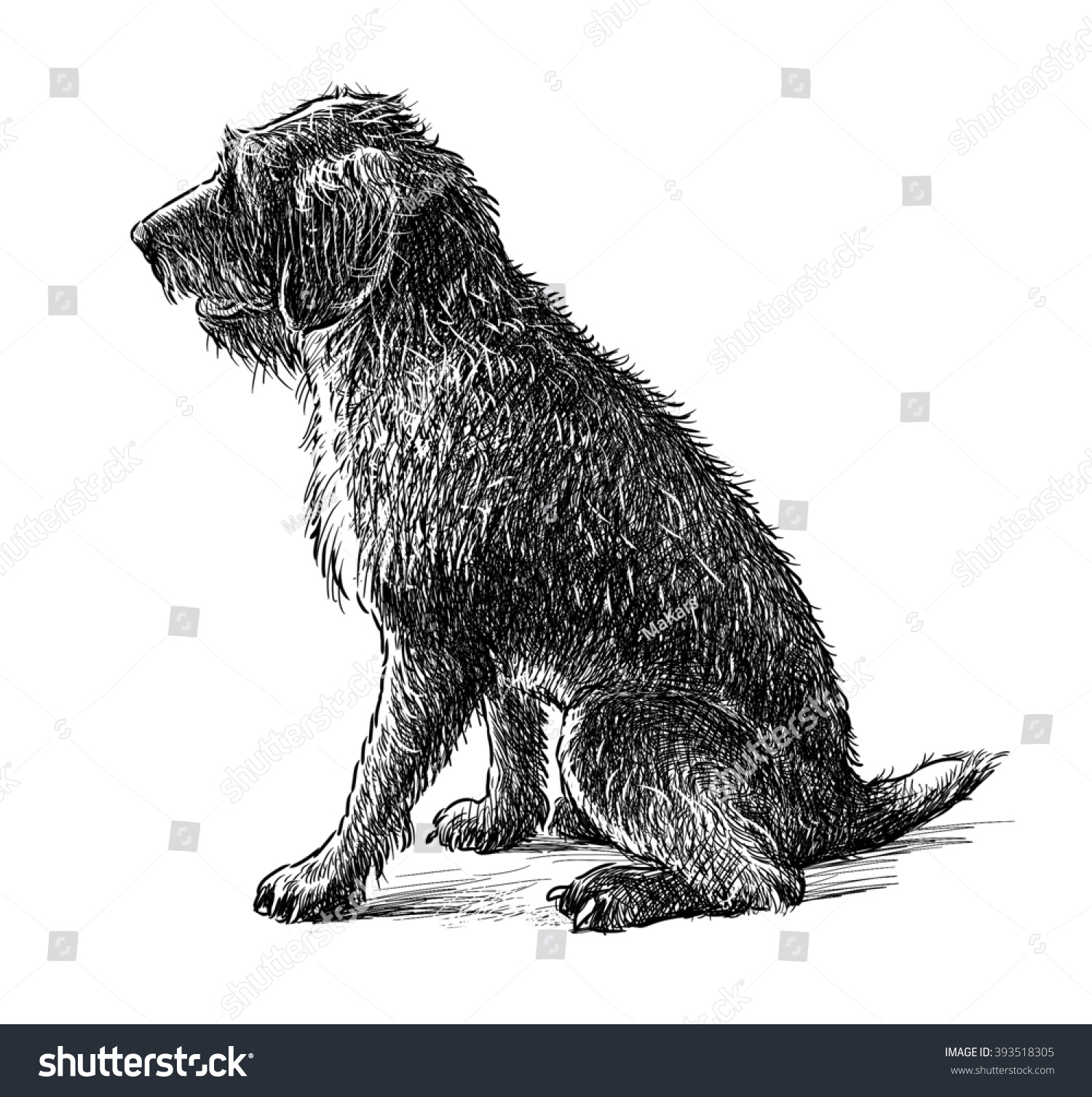 Лохматая собака иллюстрация