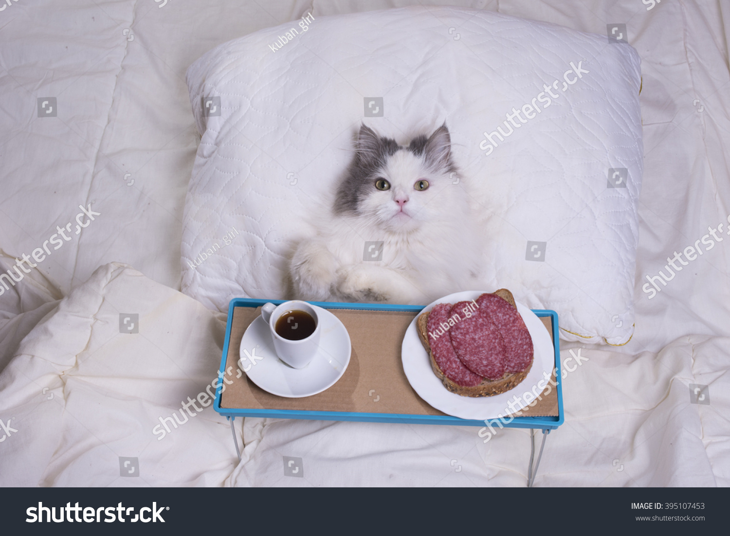 Кот завтрак в постель