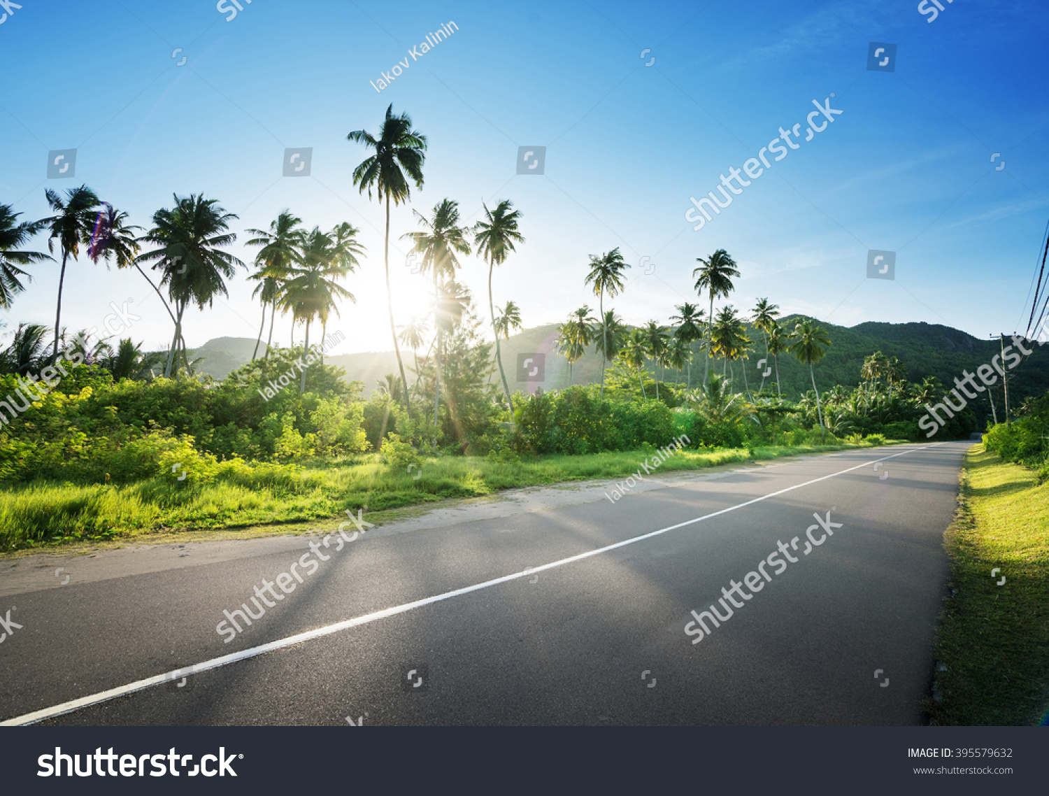 Empty Road Jungle Seychelles Islands Stock Photo 395579632 | Shutterstock