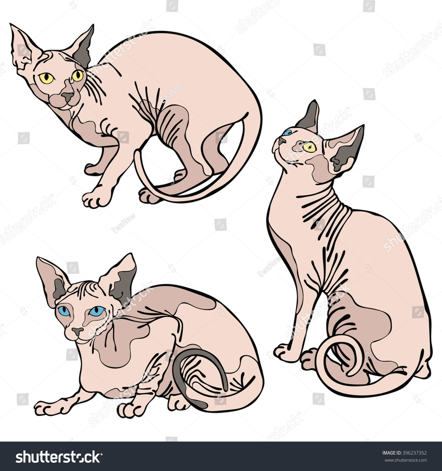 Cute Cats Hairless Naked Cats Sphynx Stock Vector Royalty Free Shutterstock