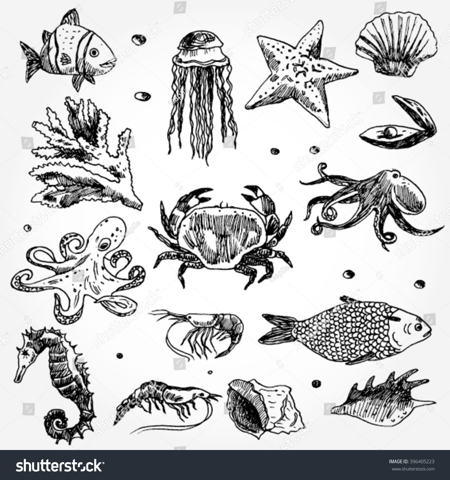 Some Sea Animals Hand Drawn Stock Vector (Royalty Free) 396405223 ...