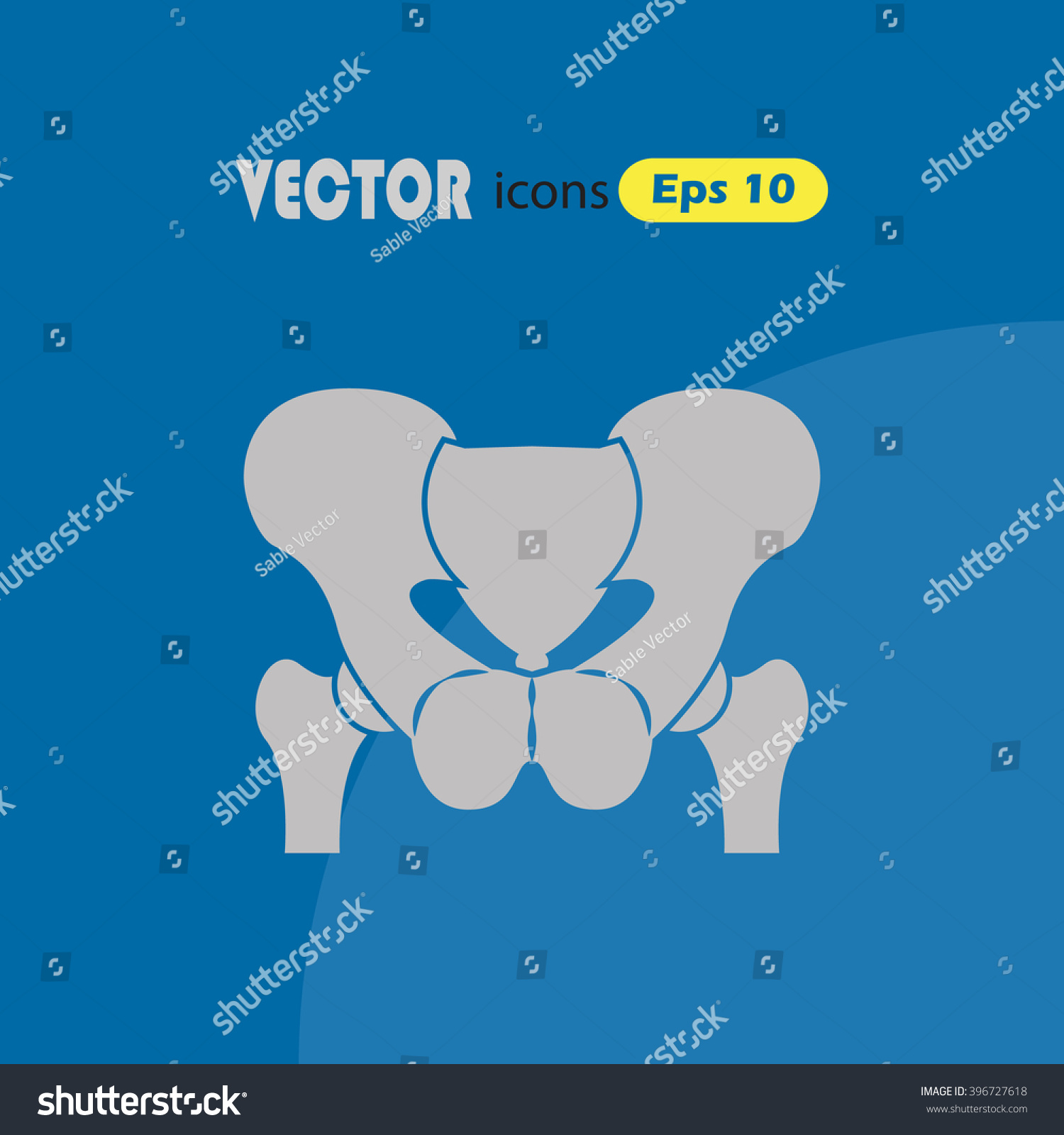 Anatomy Pelvis Icon Stock Vector (Royalty Free) 396727618 | Shutterstock