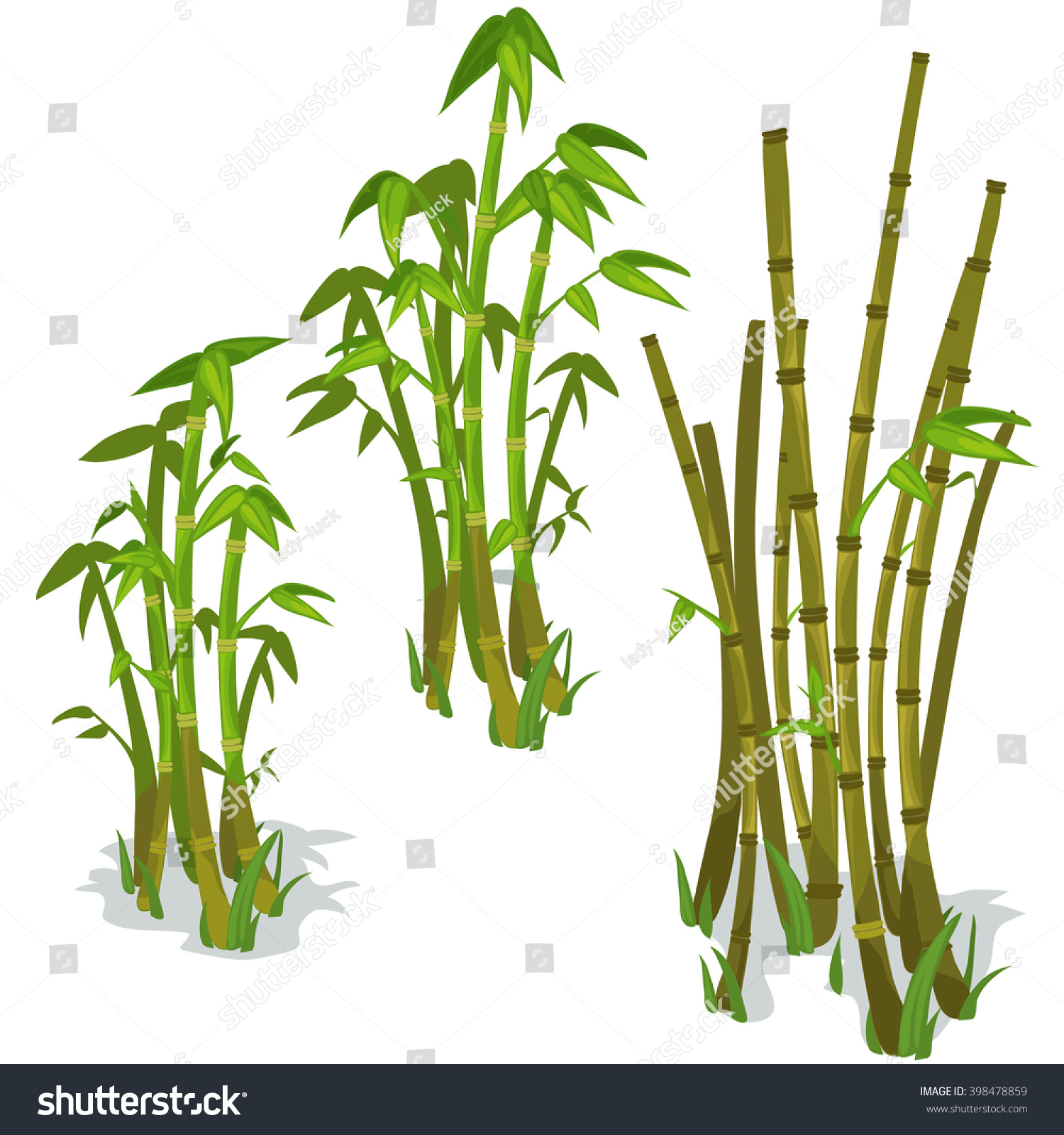 Stems Leaves Bamboo On White Background Stock Vector (Royalty Free ...