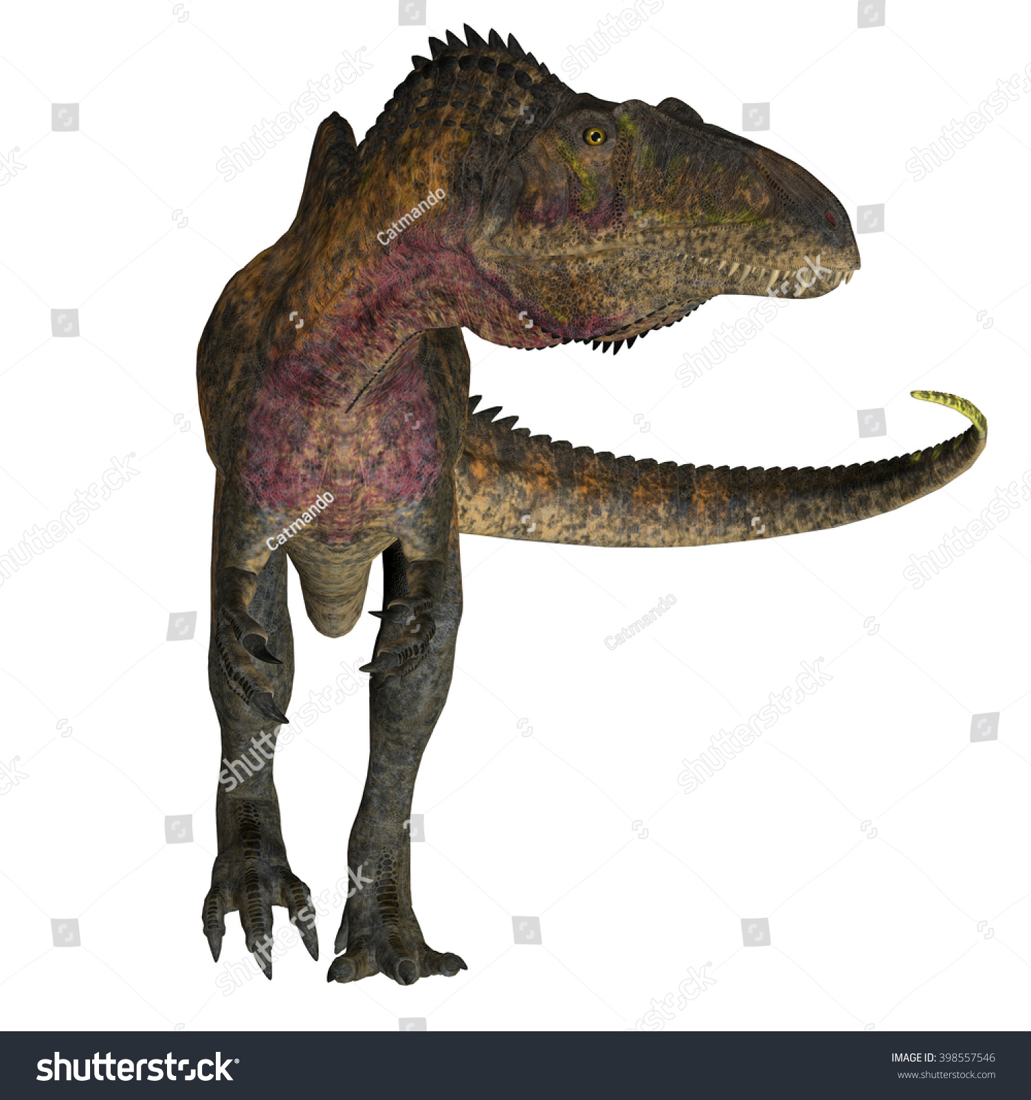 Acrocanthosaurus On White 3d Illustration Acrocanthosaurus Stock ...