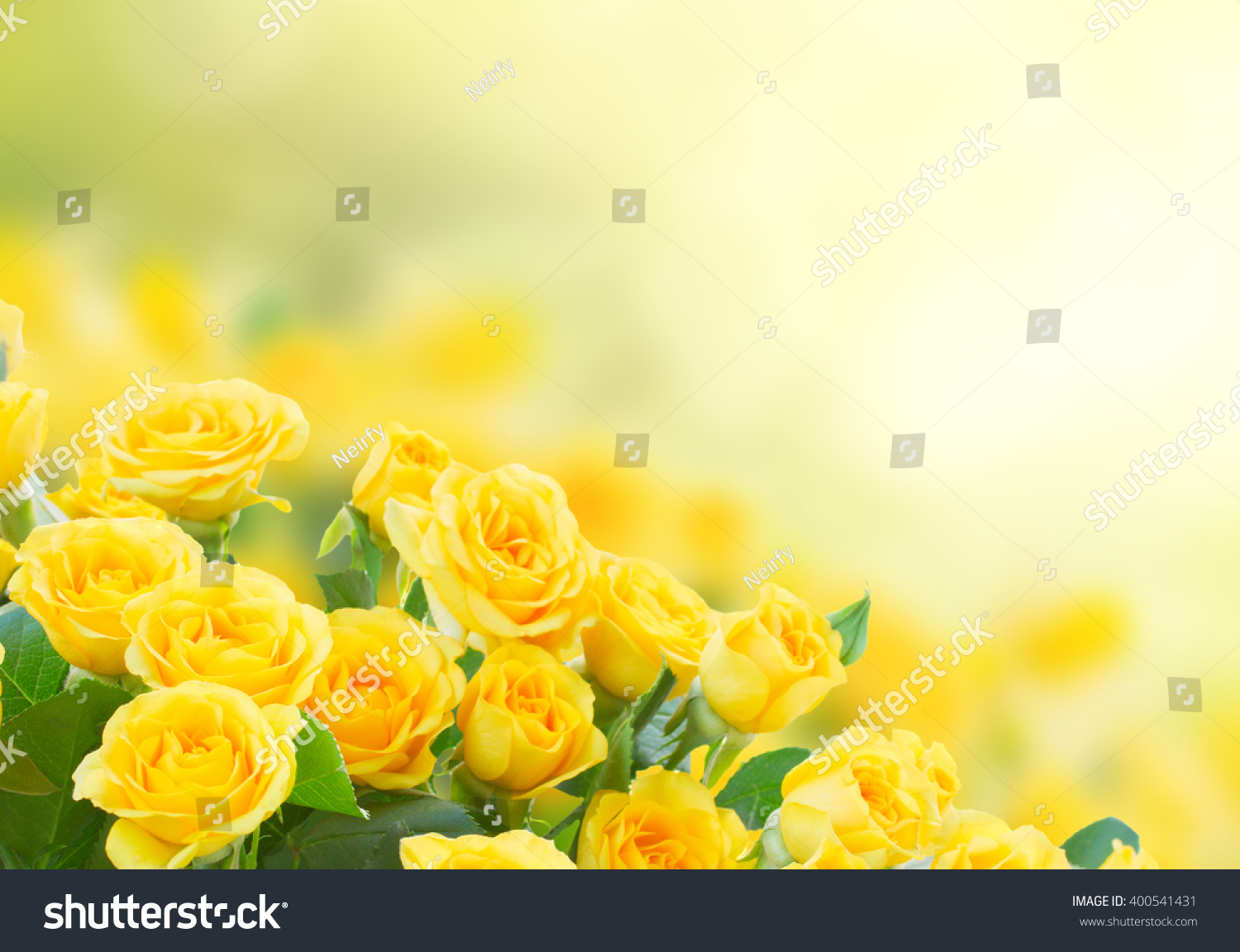 Открытки с желтыми цветами