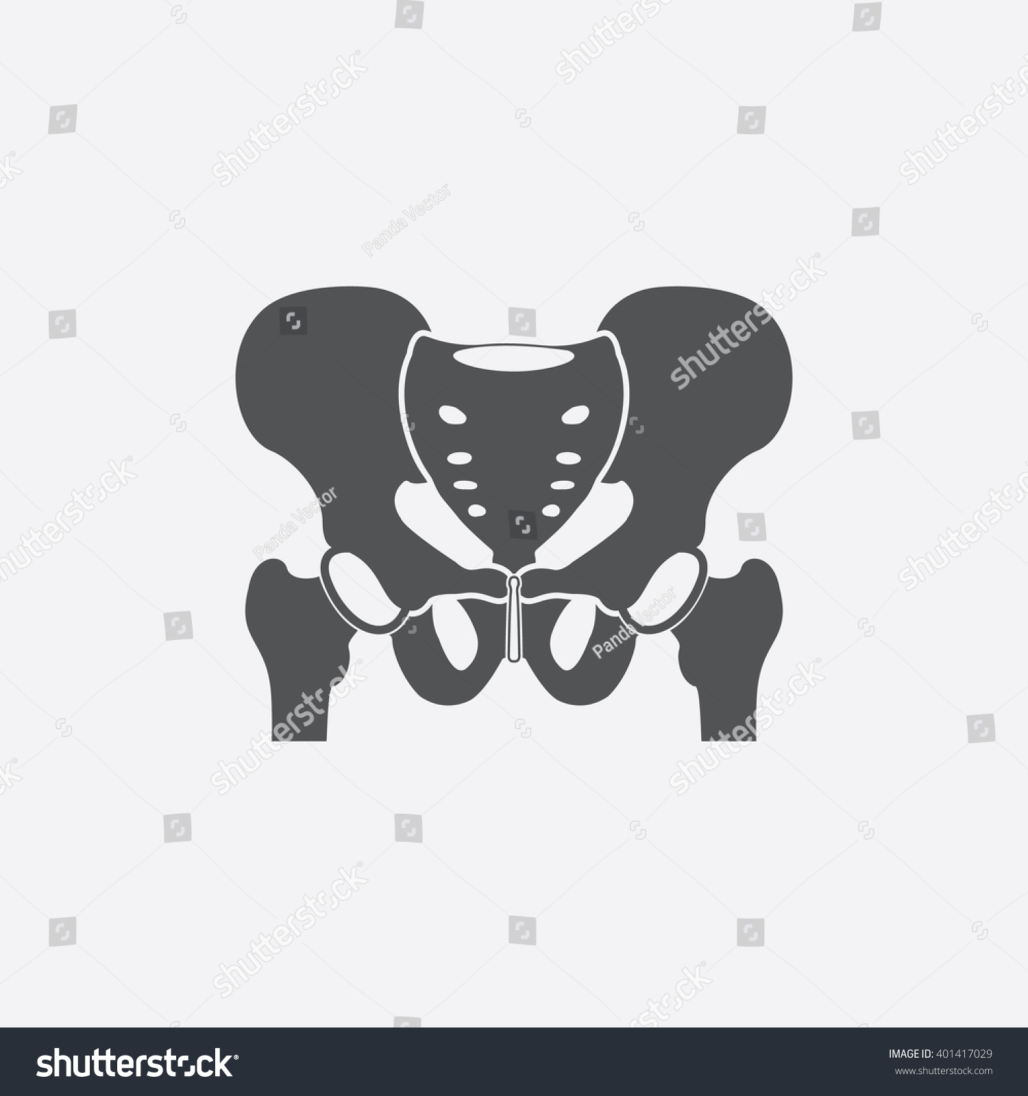 Hip Bone Icon Stock Vector (Royalty Free) 401417029 | Shutterstock