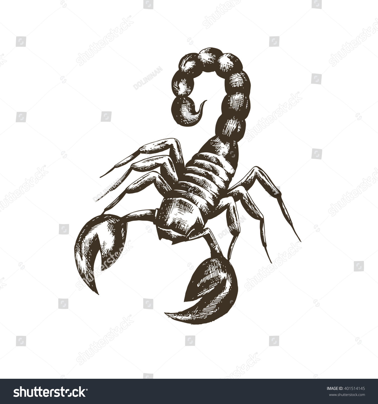 Скорпион на нарды рисунок