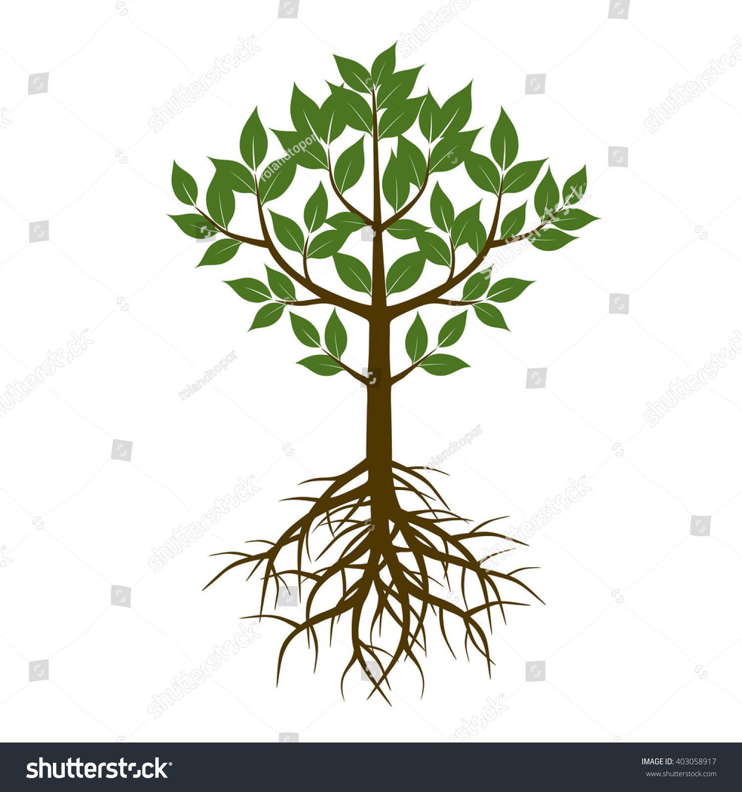 Color Tree Roots Vector Illustration Stock Vector (Royalty Free ...