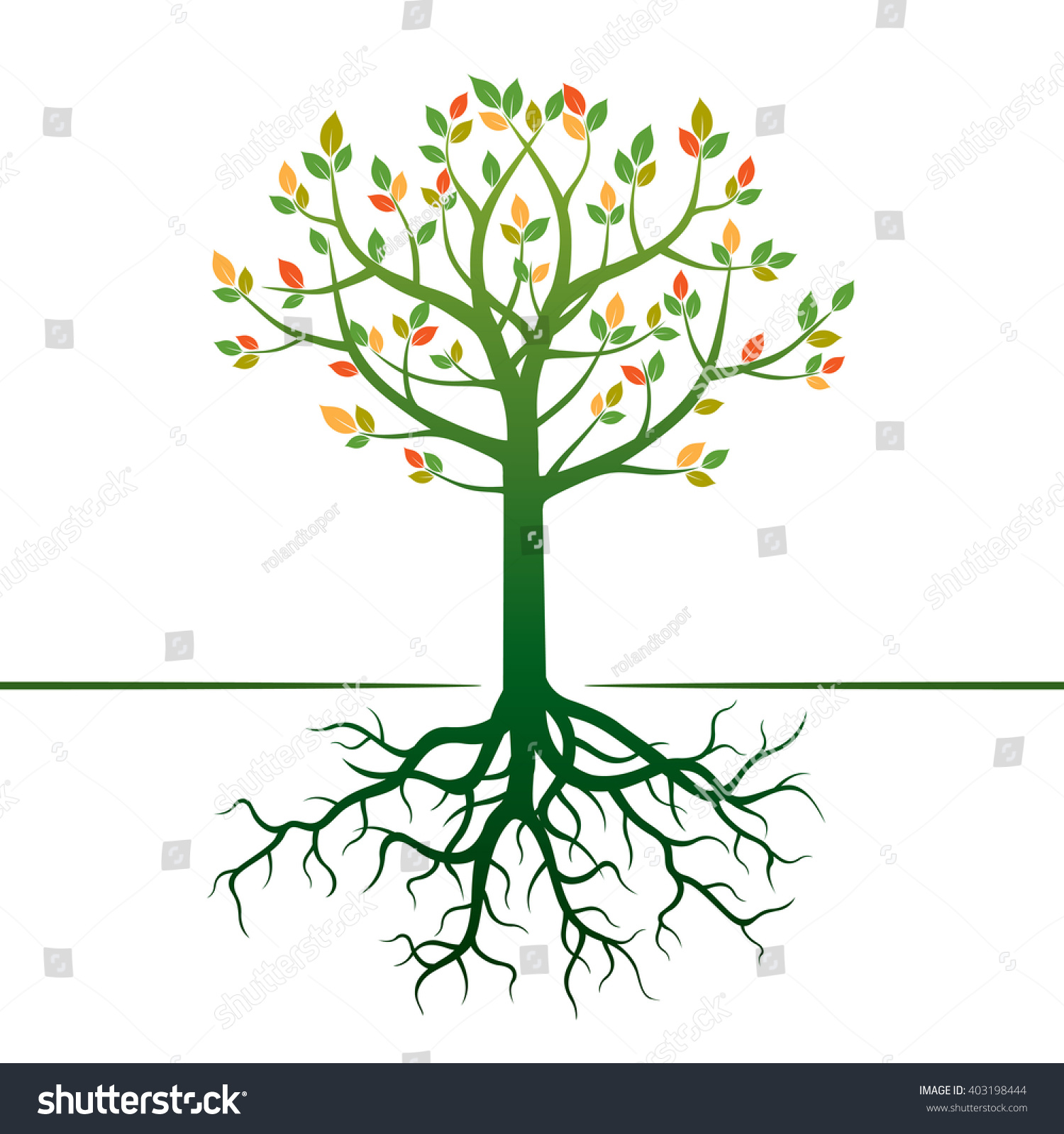 Color Tree Roots Vector Illustration Stock Vector (Royalty Free ...