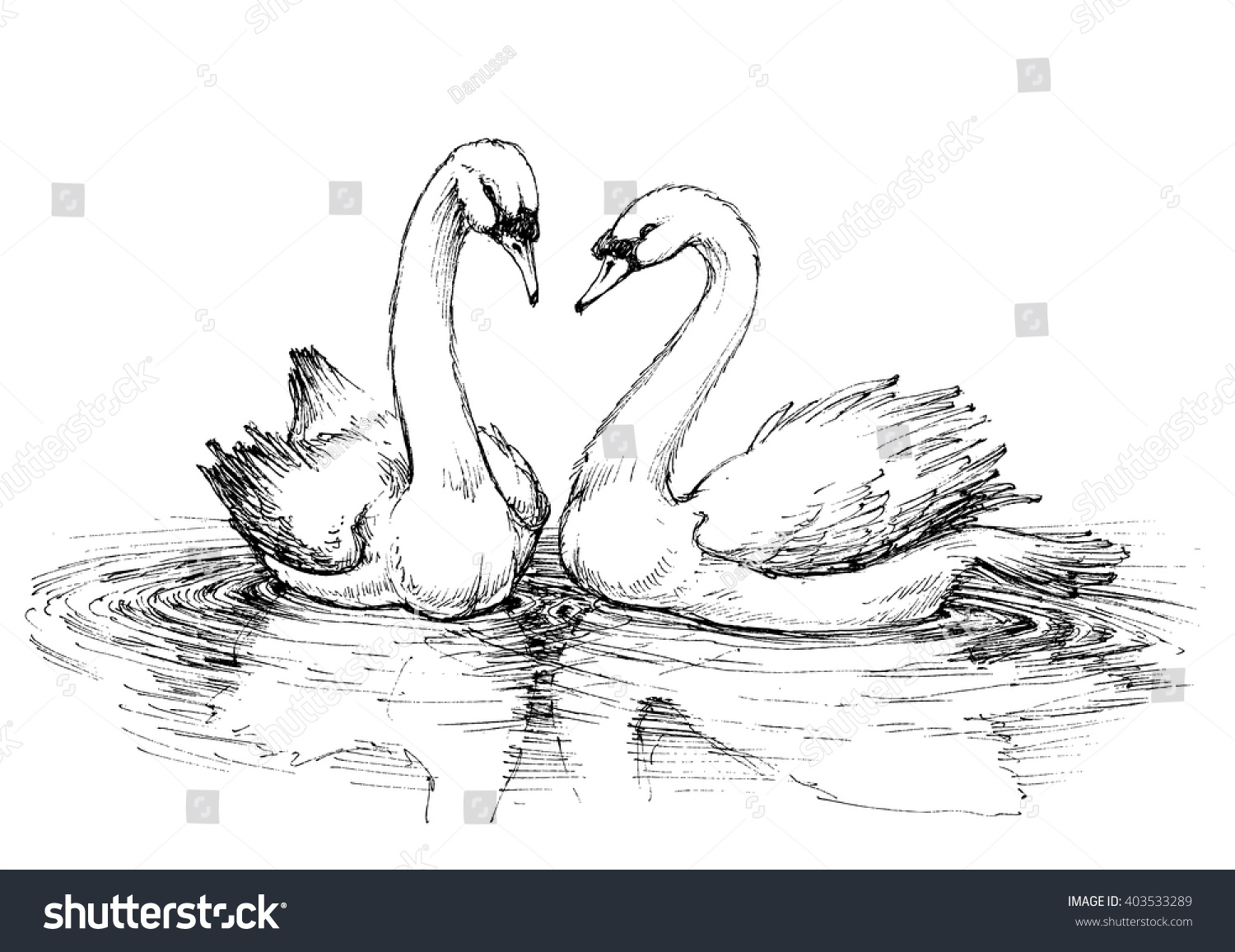 Два лебедя рисунок