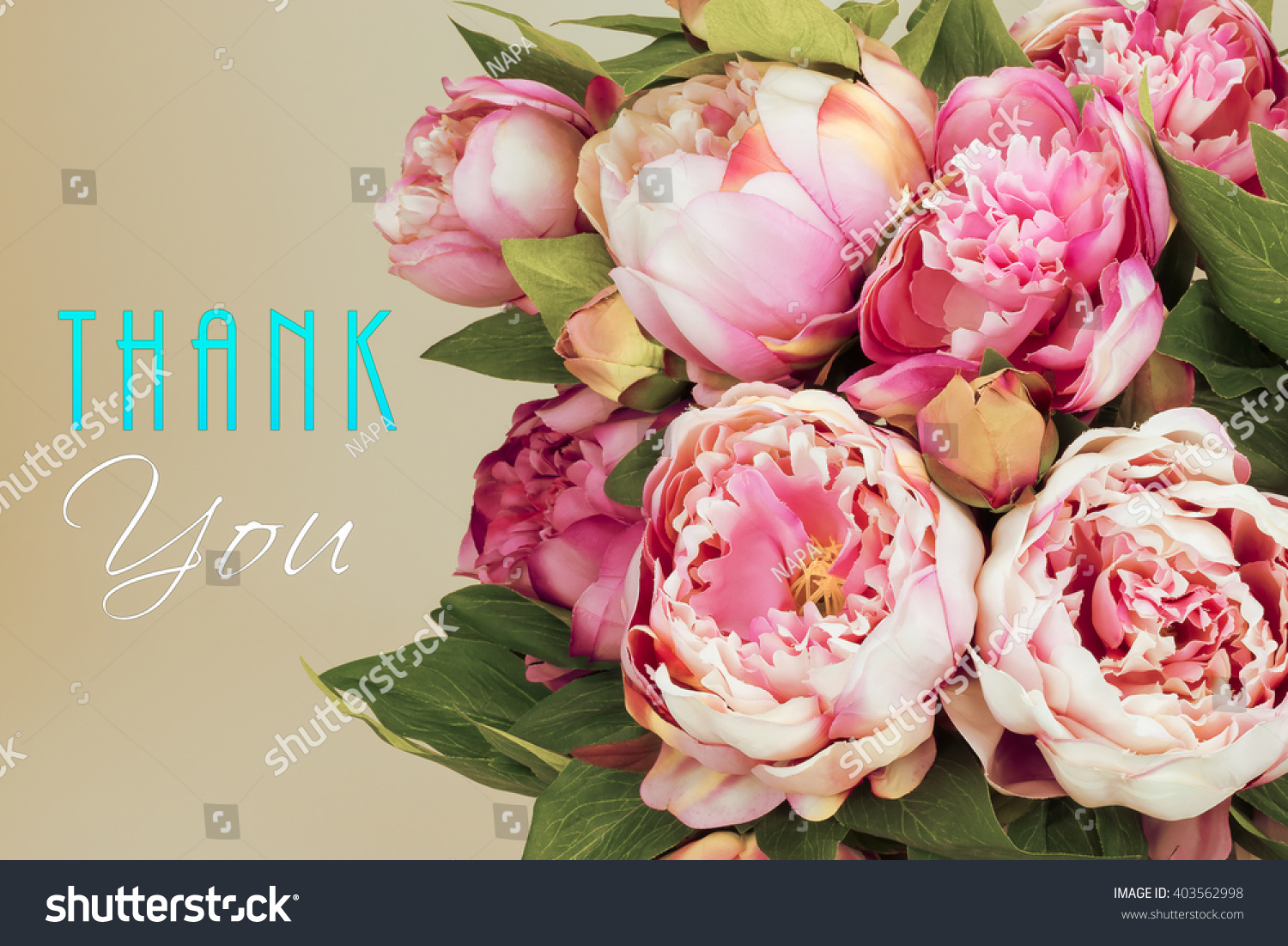 Thank You Card Pink Peony Flowers Stock Photo 403562998 