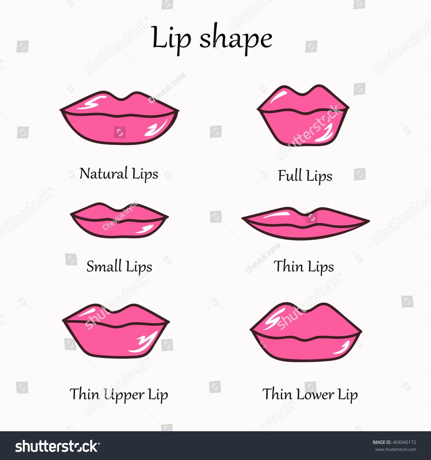 Pussy Lip Types