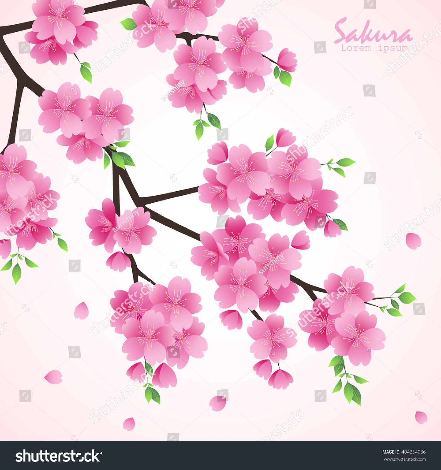 Sakura Flowers Vector Illustration Stock Vector (Royalty Free ...