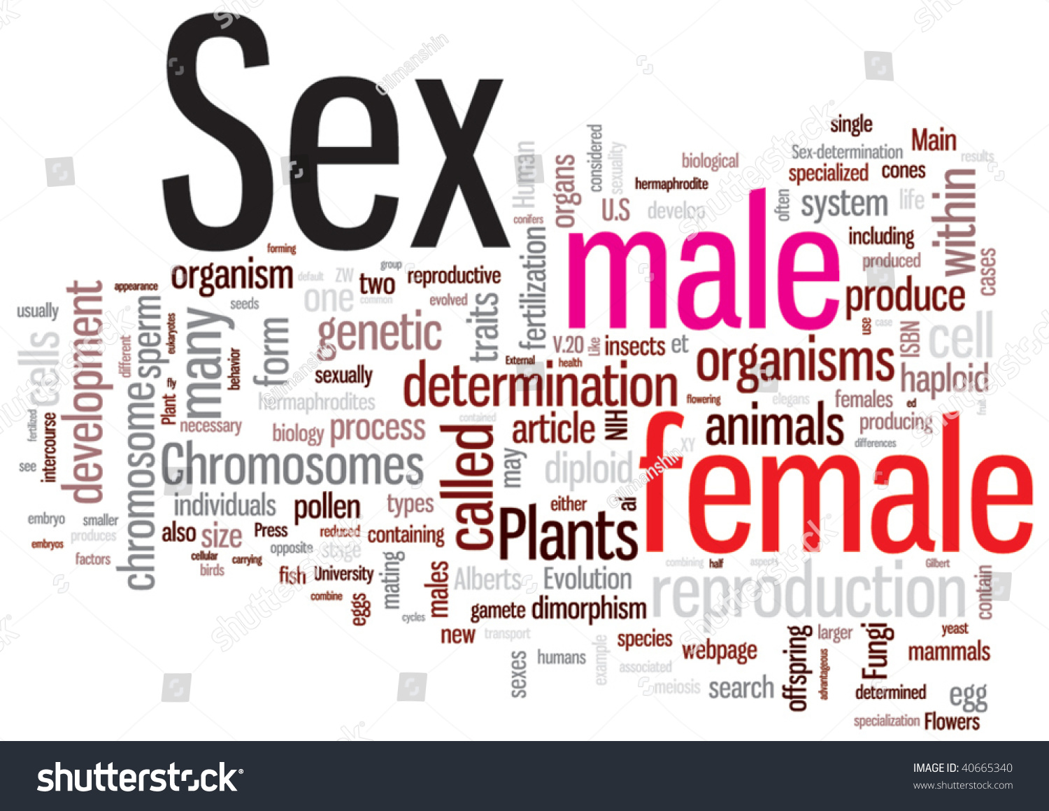 Sex Word Cloud Illustration Graphic Tag Stock Vector Royalty Free 40665340 Shutterstock 