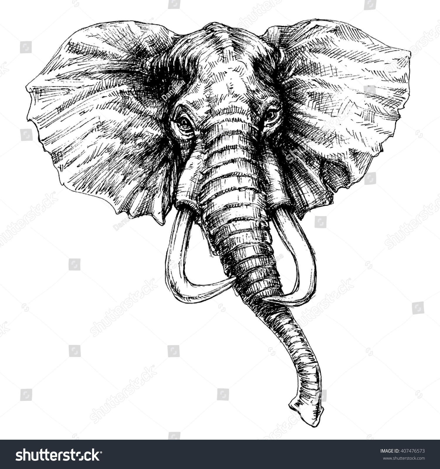 Elephant Head Vector Stock Vector (Royalty Free) 407476573 | Shutterstock