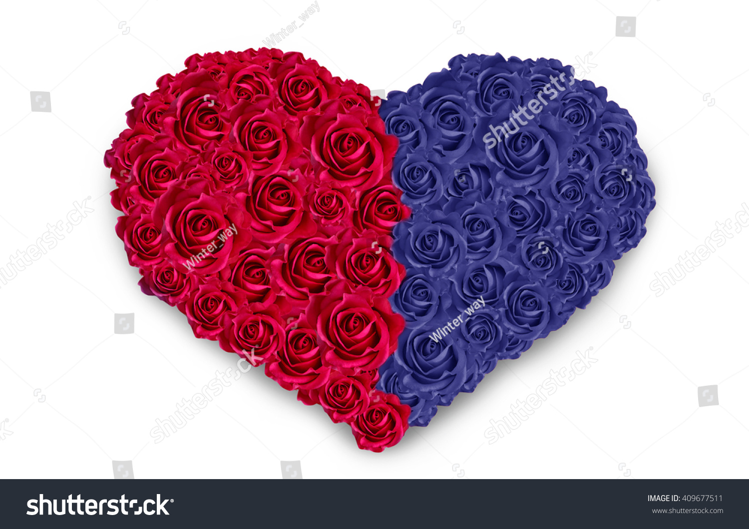 blue roses heart