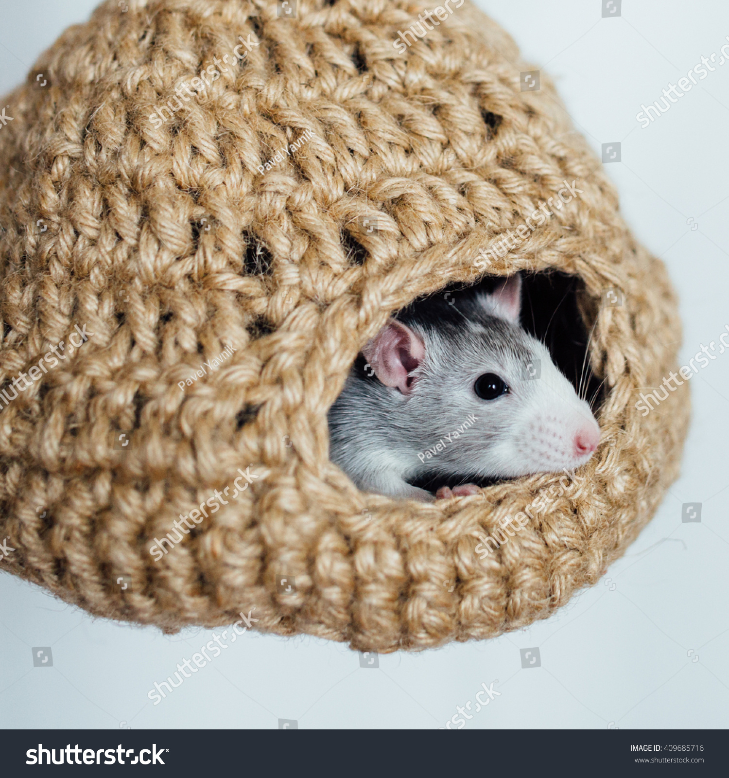 вязаный гамак для крысы