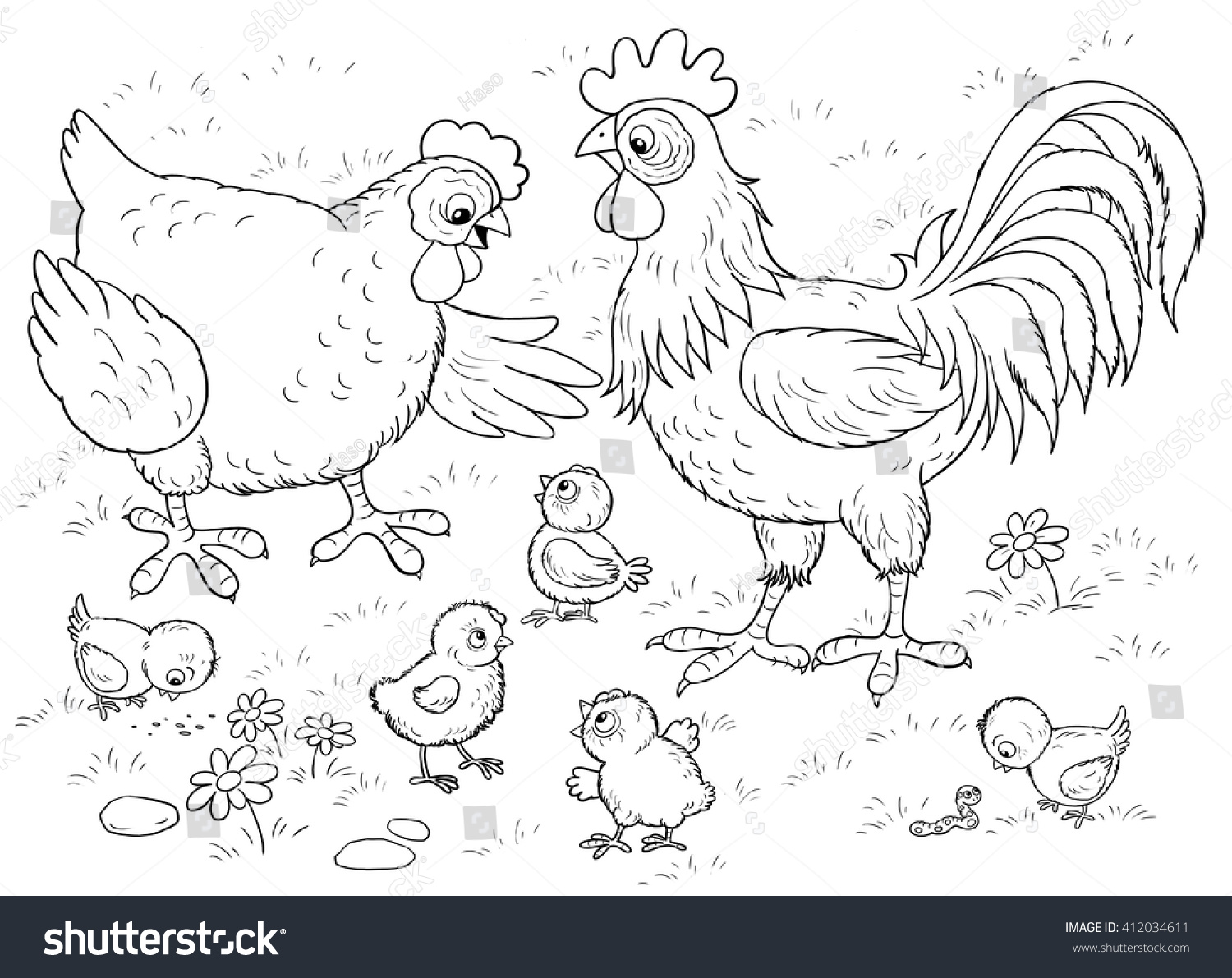 Курица петух цыплята раскраска