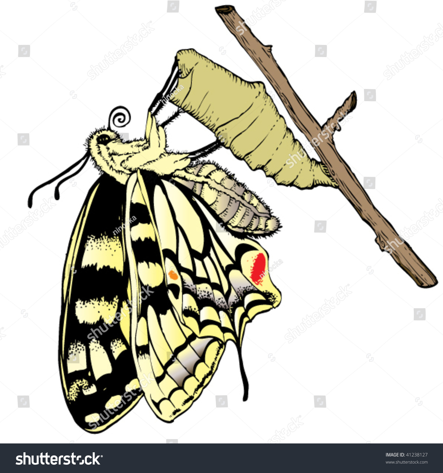 Butterfly Cocoon Color Stock-vektor (royaltyfri) 41238127.
