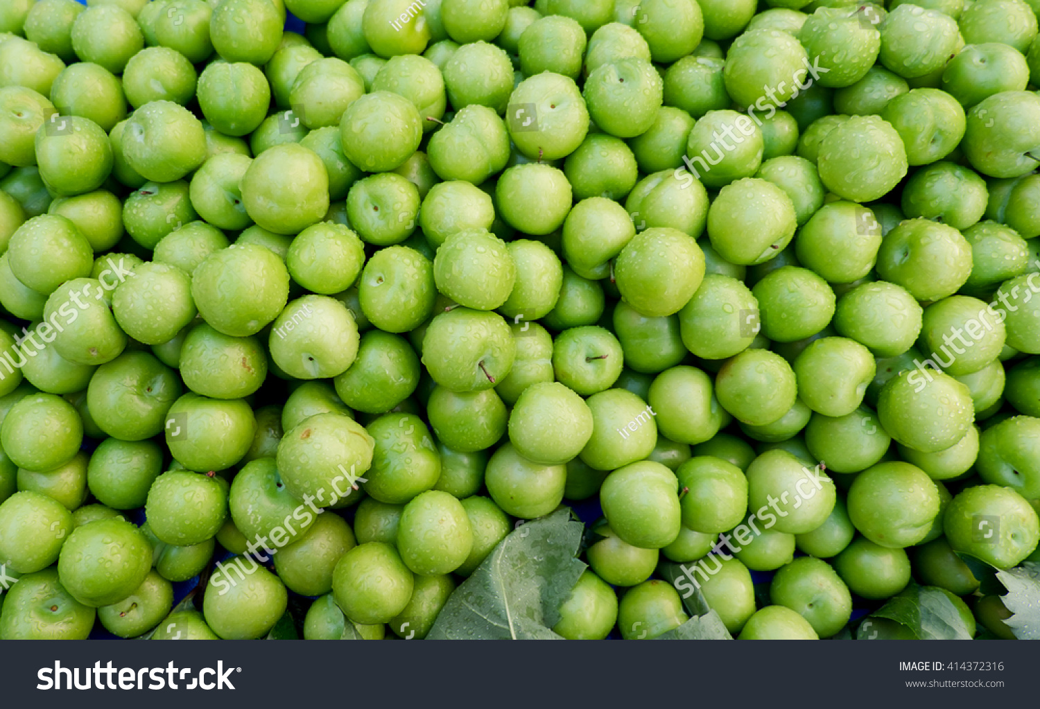 Зеленая ягода похожая на сливу