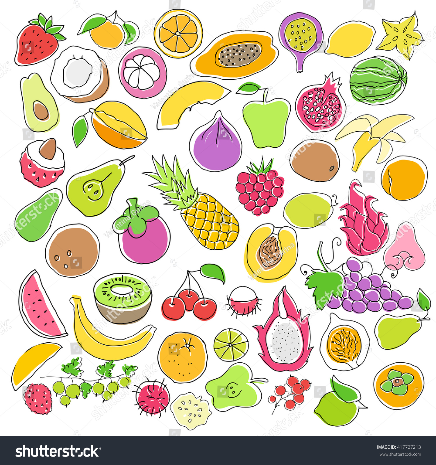 Vector Set Hand Drawn Colored Fruit Stock Vector (Royalty Free ...