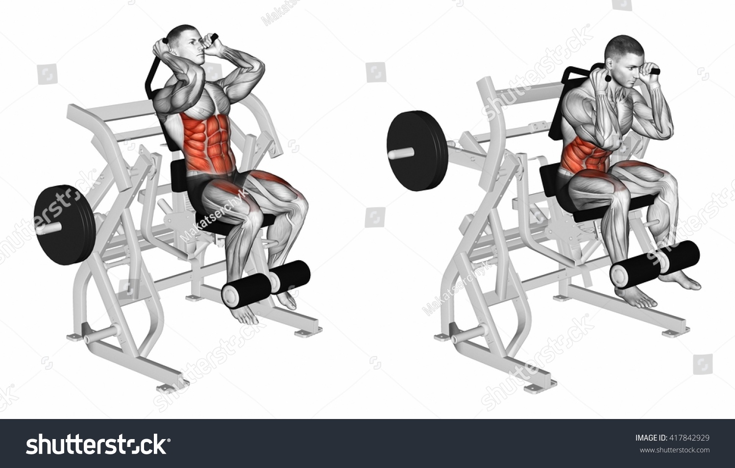 Bending Body Abdominal Muscles Legs 3d Stock Illustration 417842929 ...