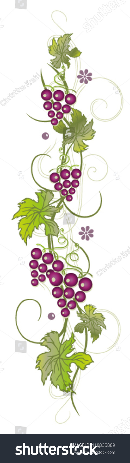 Filigree Vine Leaves Grapes Vector Decoration Stock Vector (Royalty ...