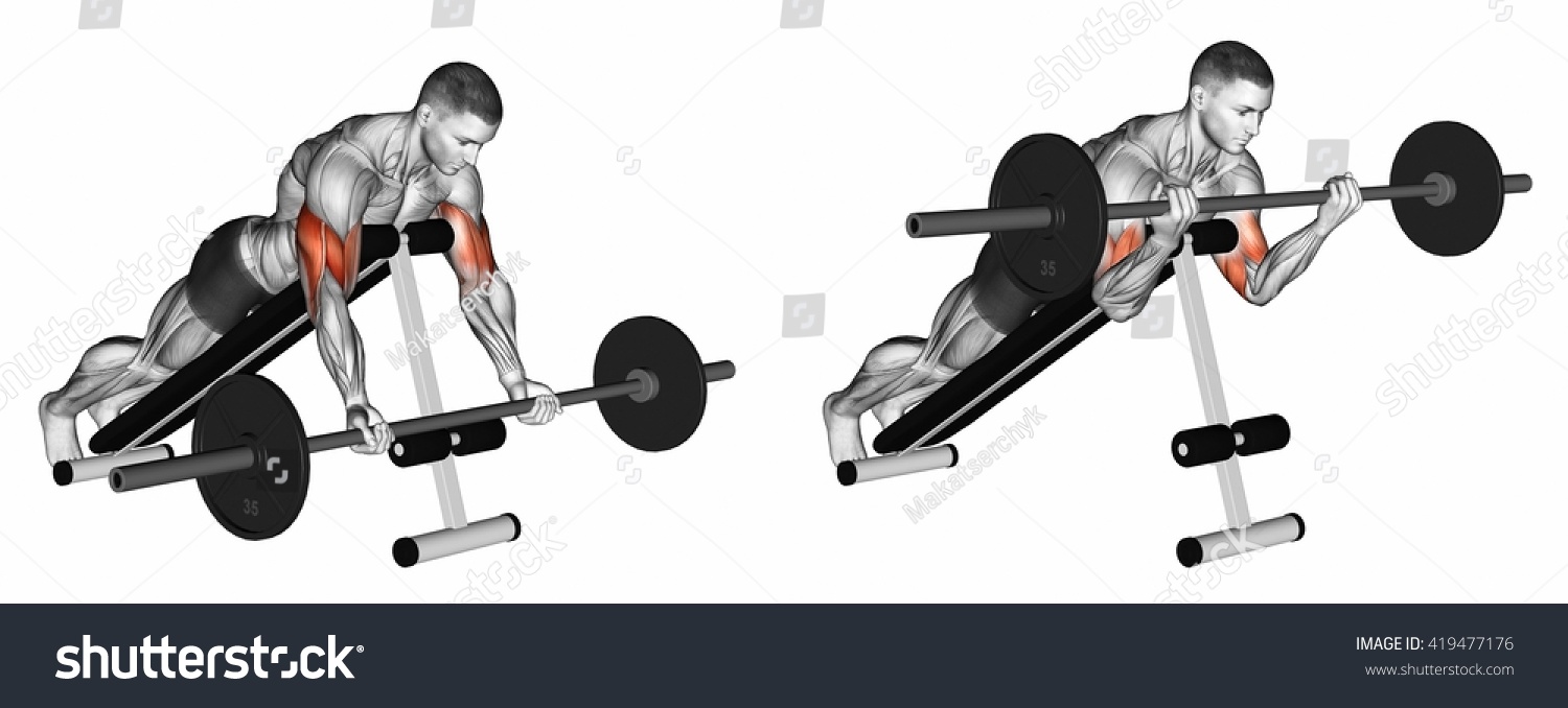 Lying Incline Curl 3d Illustration Stock Illustration 419477176 ...