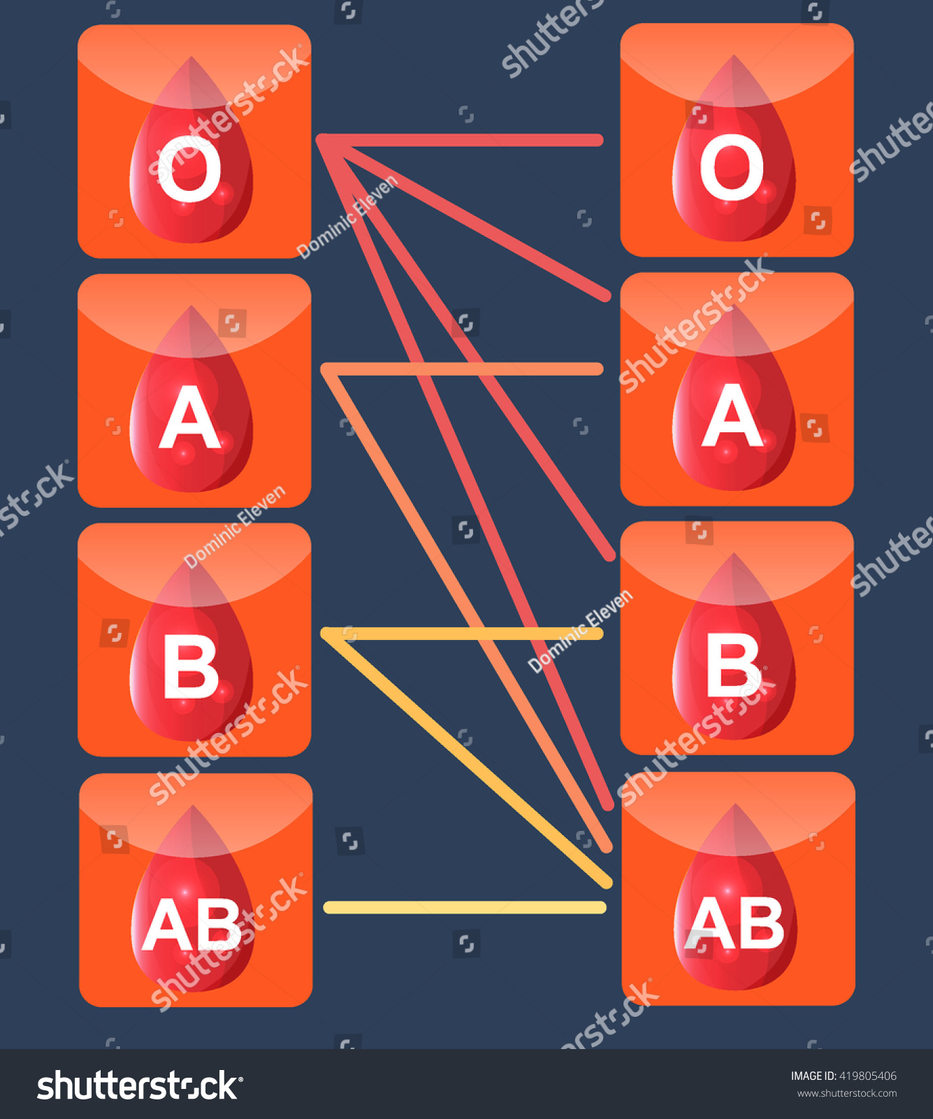 Blood Type Compatibility Infographic Template Stock Vector (Royalty ...