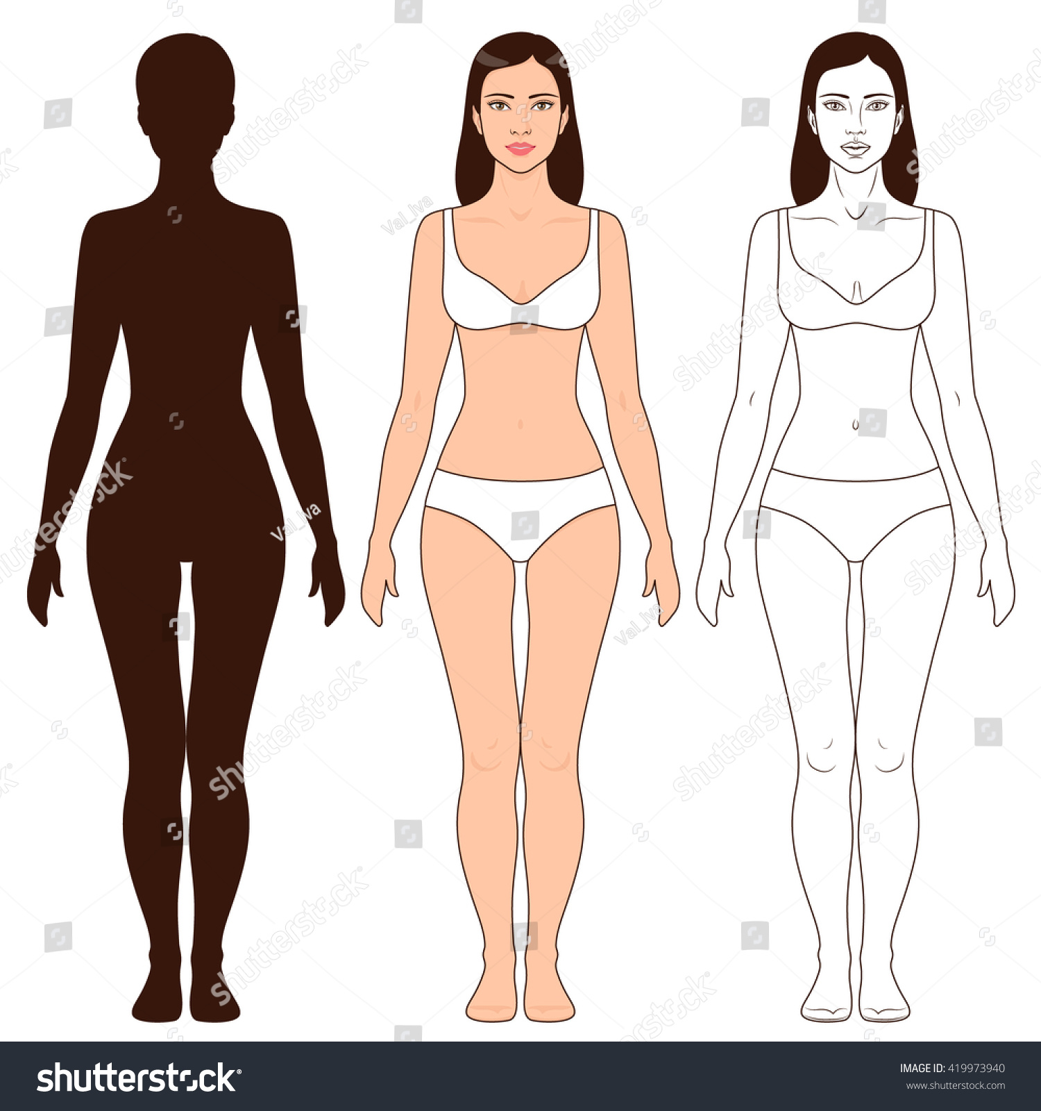 Формы тела женщины