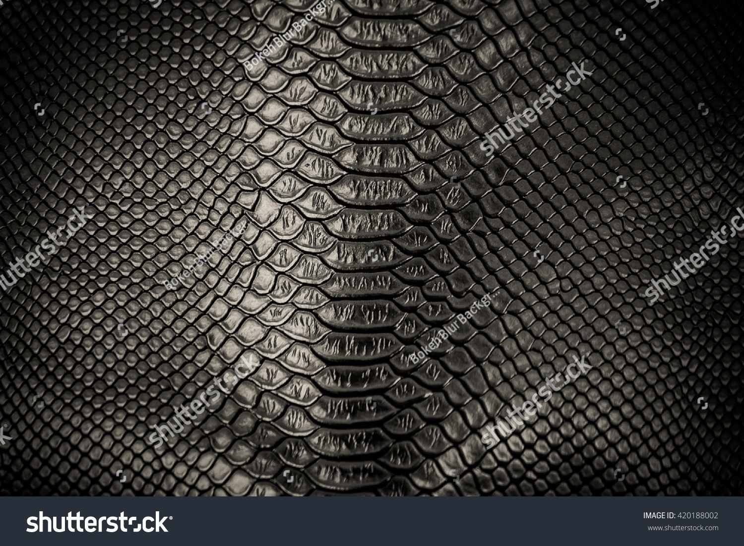 Black Skin Leather Texture Use Background Stock Photo 420188002 ...