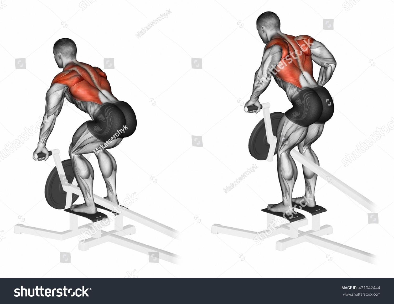 Thrust Tshaped On Back Muscles Slope Stock Illustration 421042444 ...