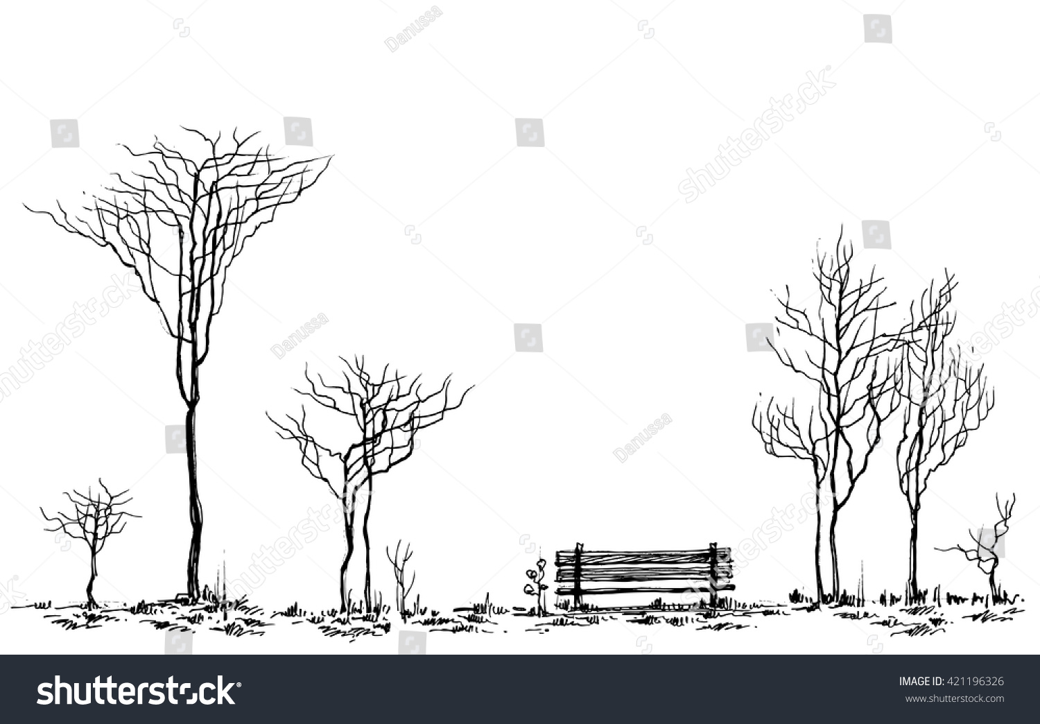Деревья в парке рисунок карандашом