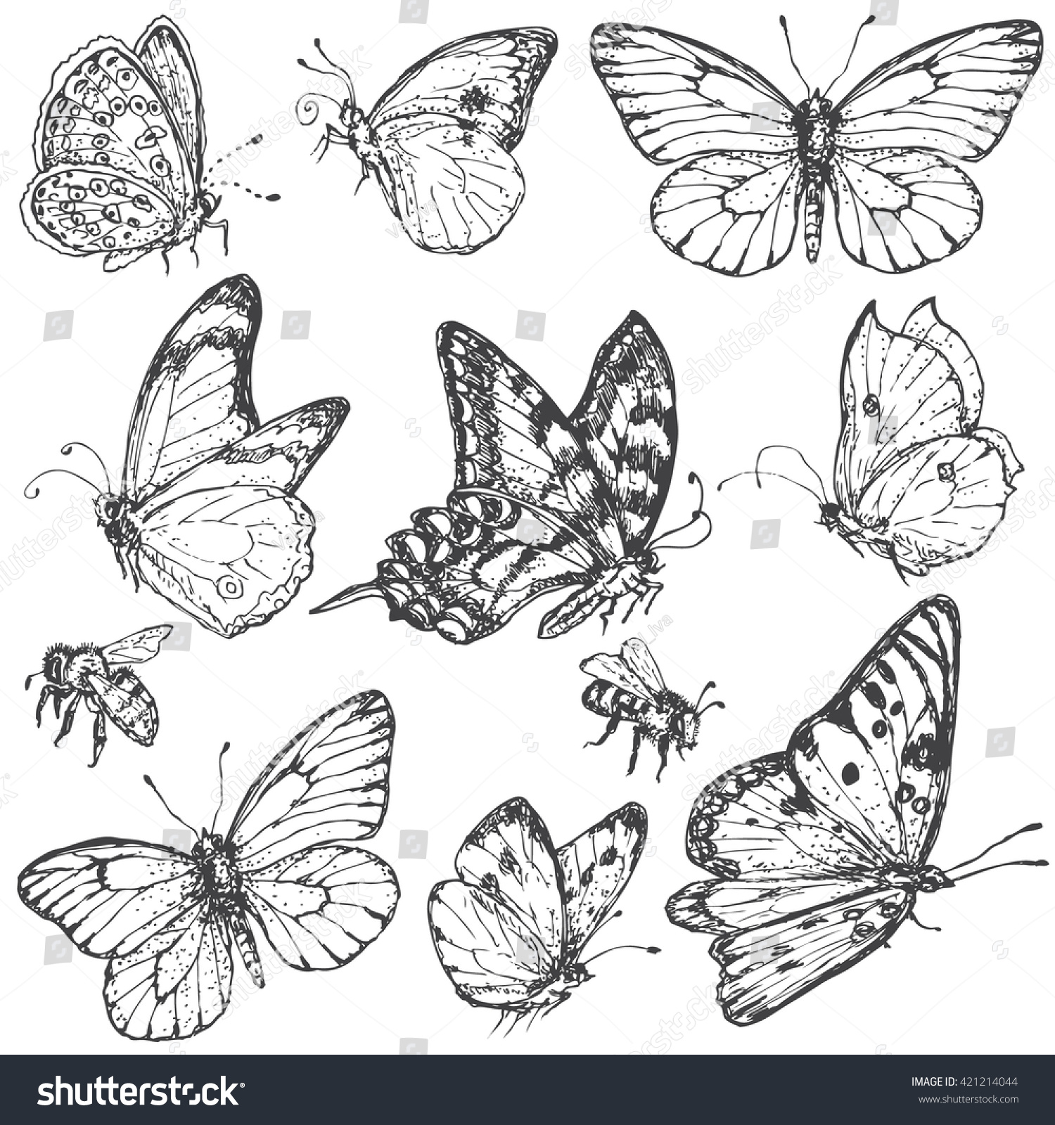 Летающие бабочки Наброски