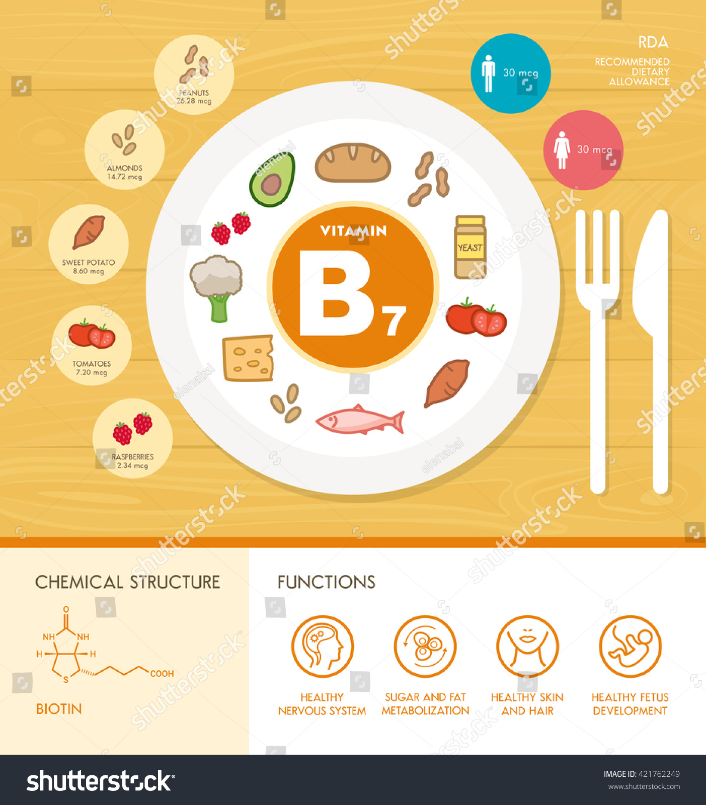 Vitamin B7 Nutrition Infographic Medical Food Stock Vector (Royalty ...