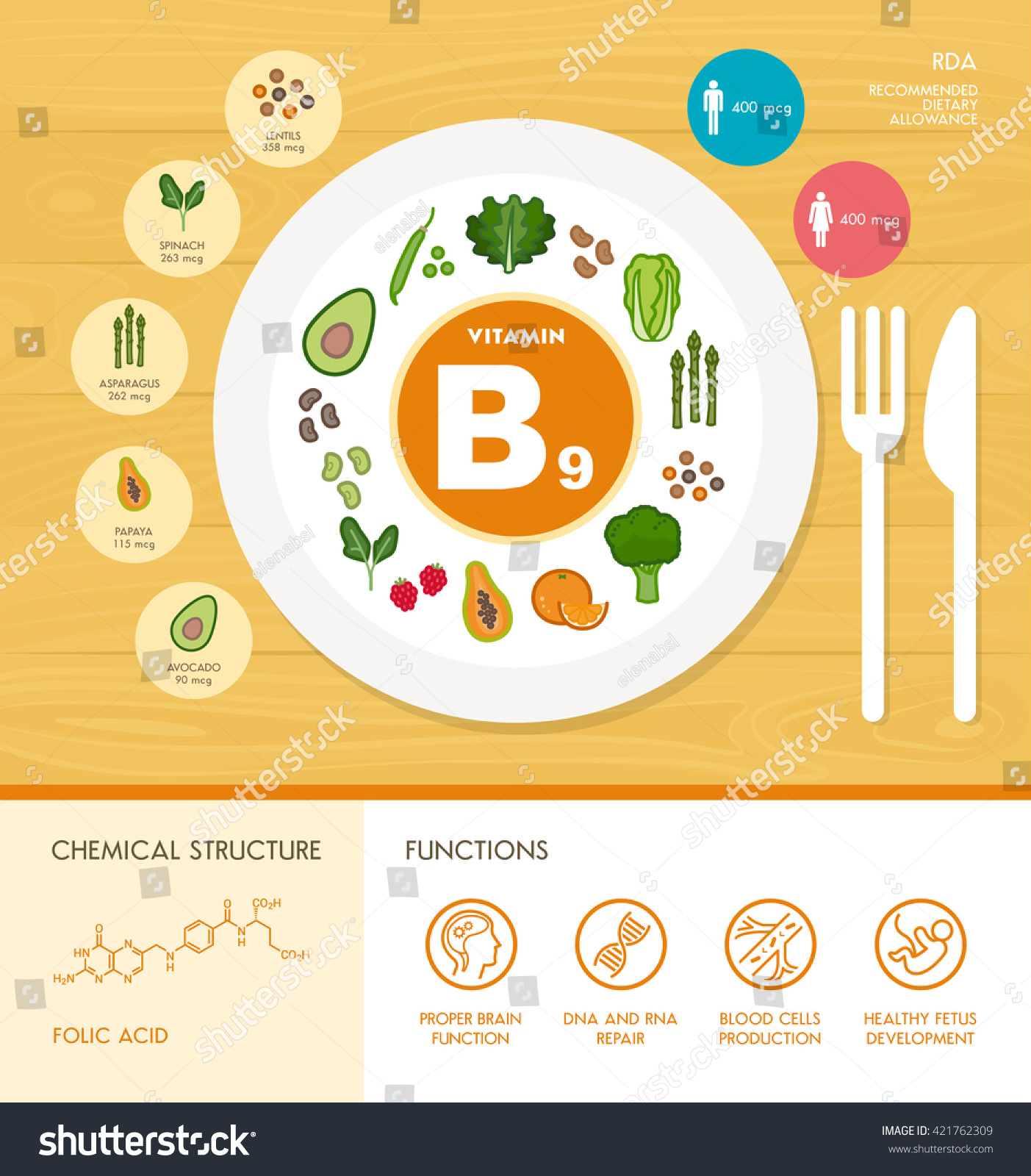 Vitamin B9 Nutrition Infographic Healthcare Food Stock Vector (Royalty ...