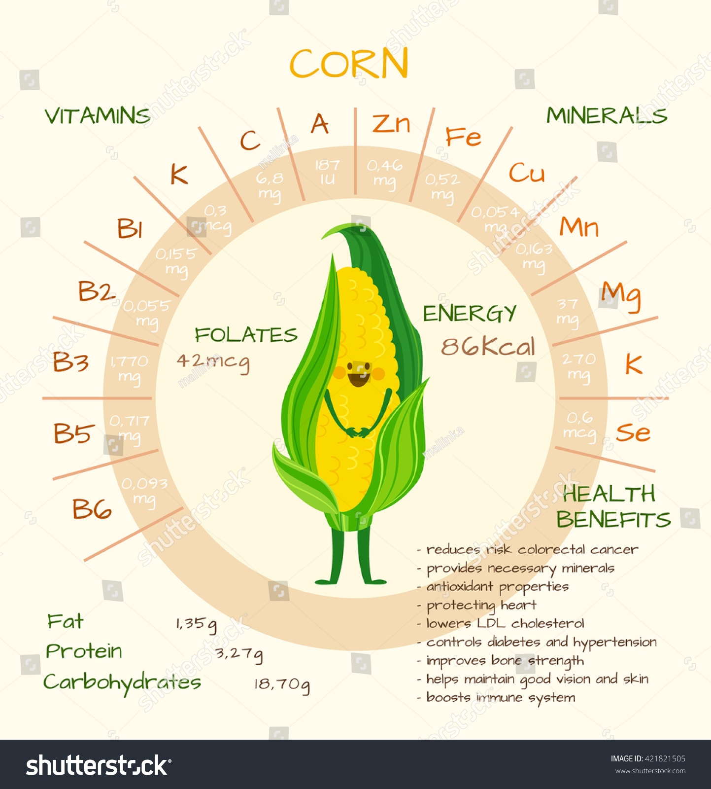 Infographics About Nutrients Corn Vector Illustration Stock Vector ...