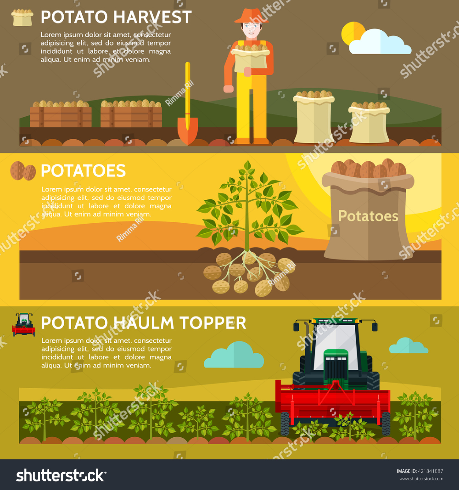 5,286 Potato farming vector Images, Stock Photos & Vectors | Shutterstock