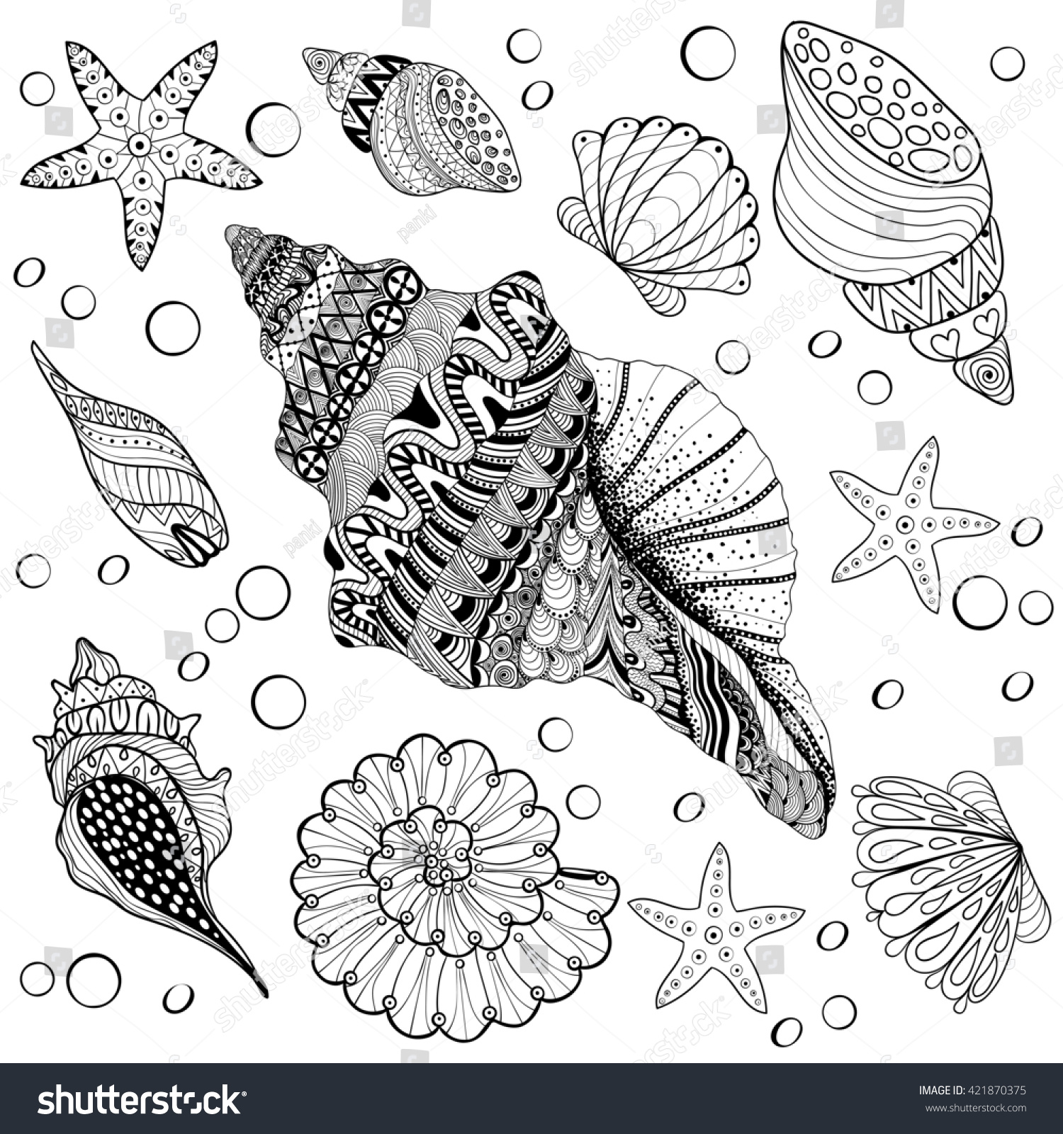 Set Shells Zentangle Seeshell Adult Anti Stock Illustration 421870375 ...