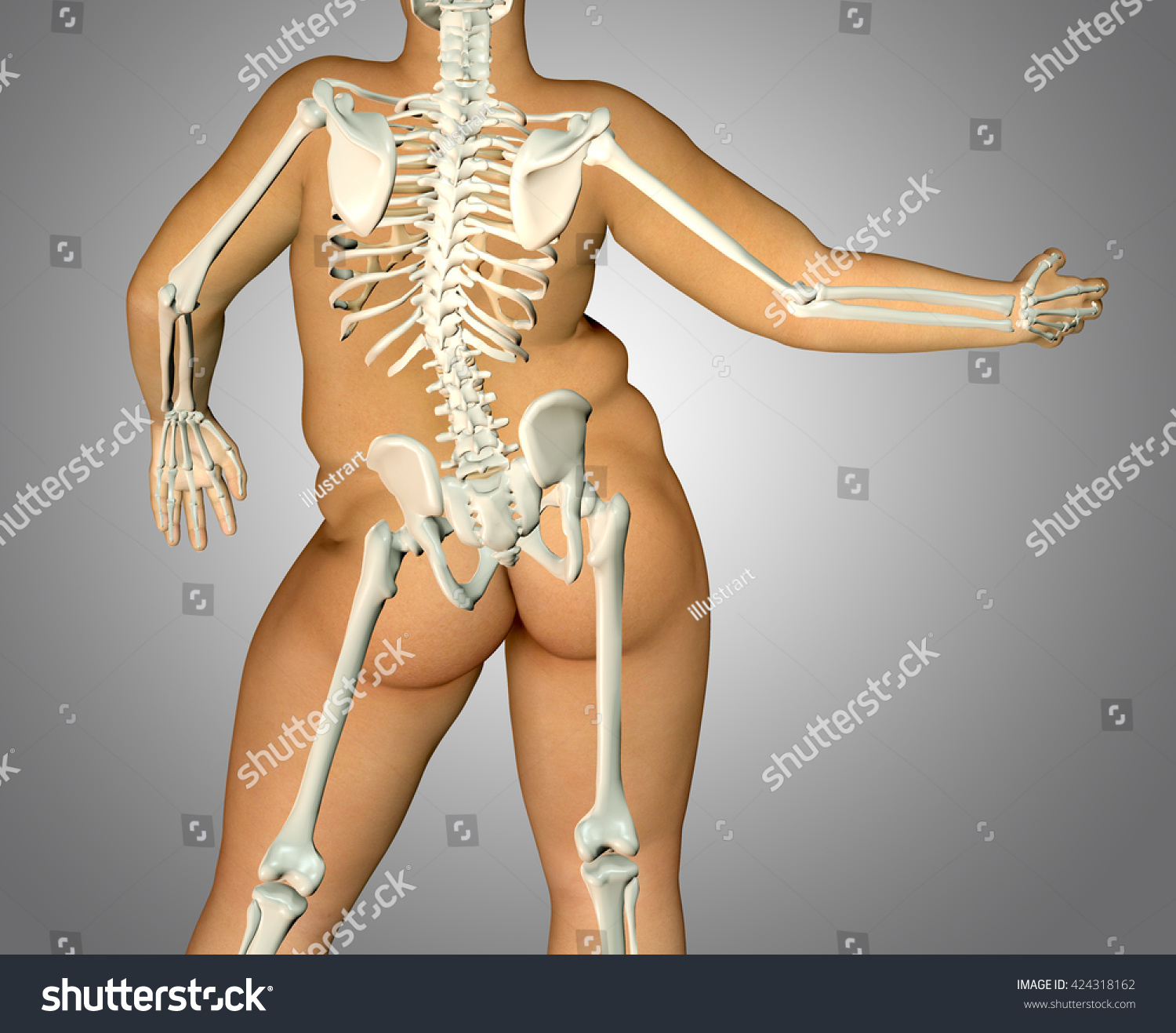 Скелет женщины со спины