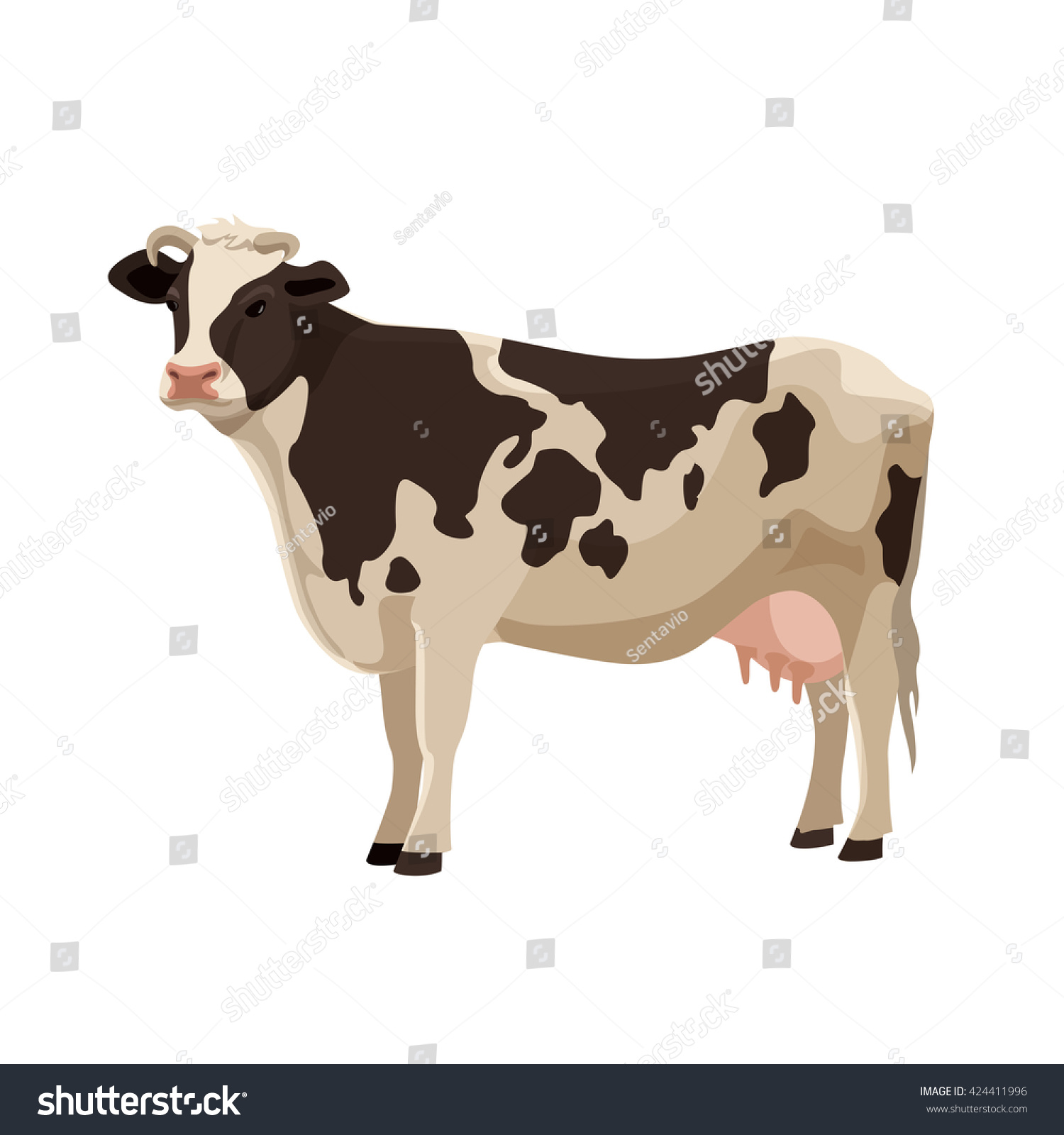 Spotted Cow Vector Illustration Cute Farm Stock Vector (Royalty Free ...