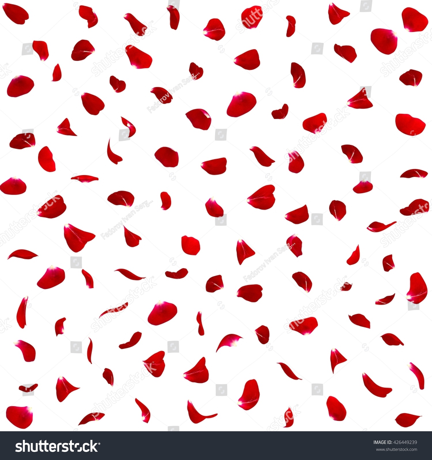 Seamless Texture Dark Red Rose Petals Stock Photo 426449239 | Shutterstock