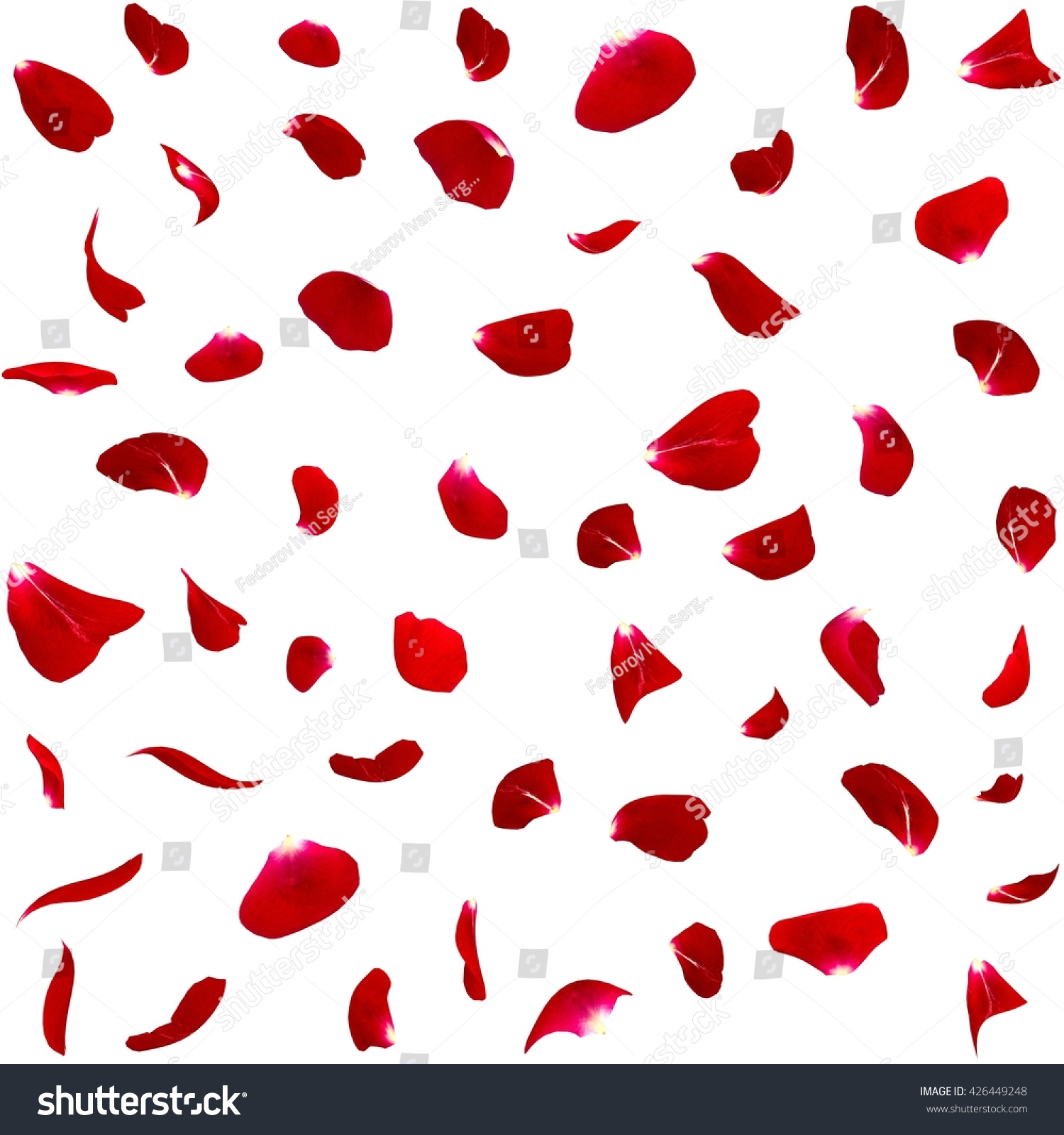 Seamless Texture Dark Red Rose Petals Stock Photo 426449248 | Shutterstock