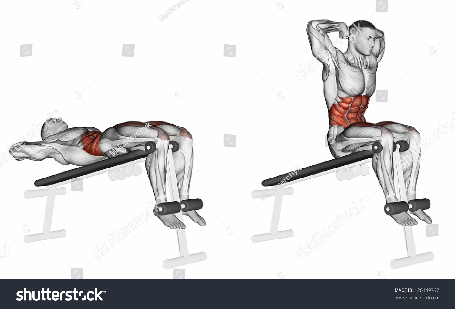 Lifts Torso On Incline Bench 3d Stock Illustration 426449797 | Shutterstock