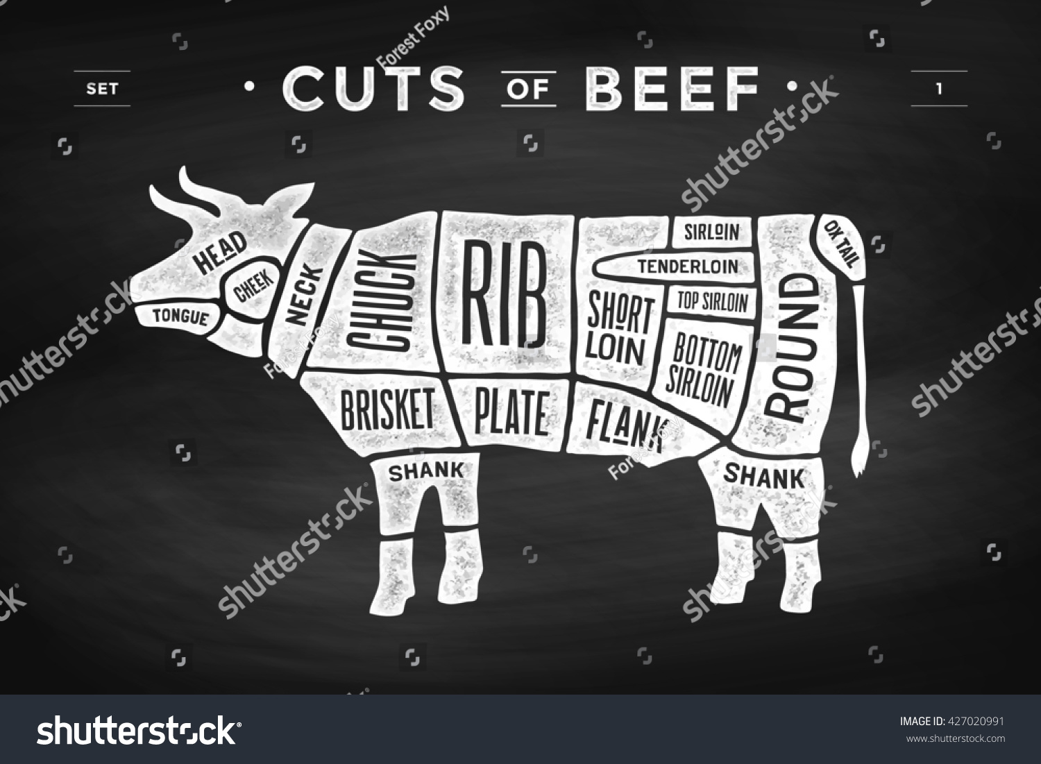 Cut Meat Set Poster Butcher Diagram Stock Illustration 427020991 ...