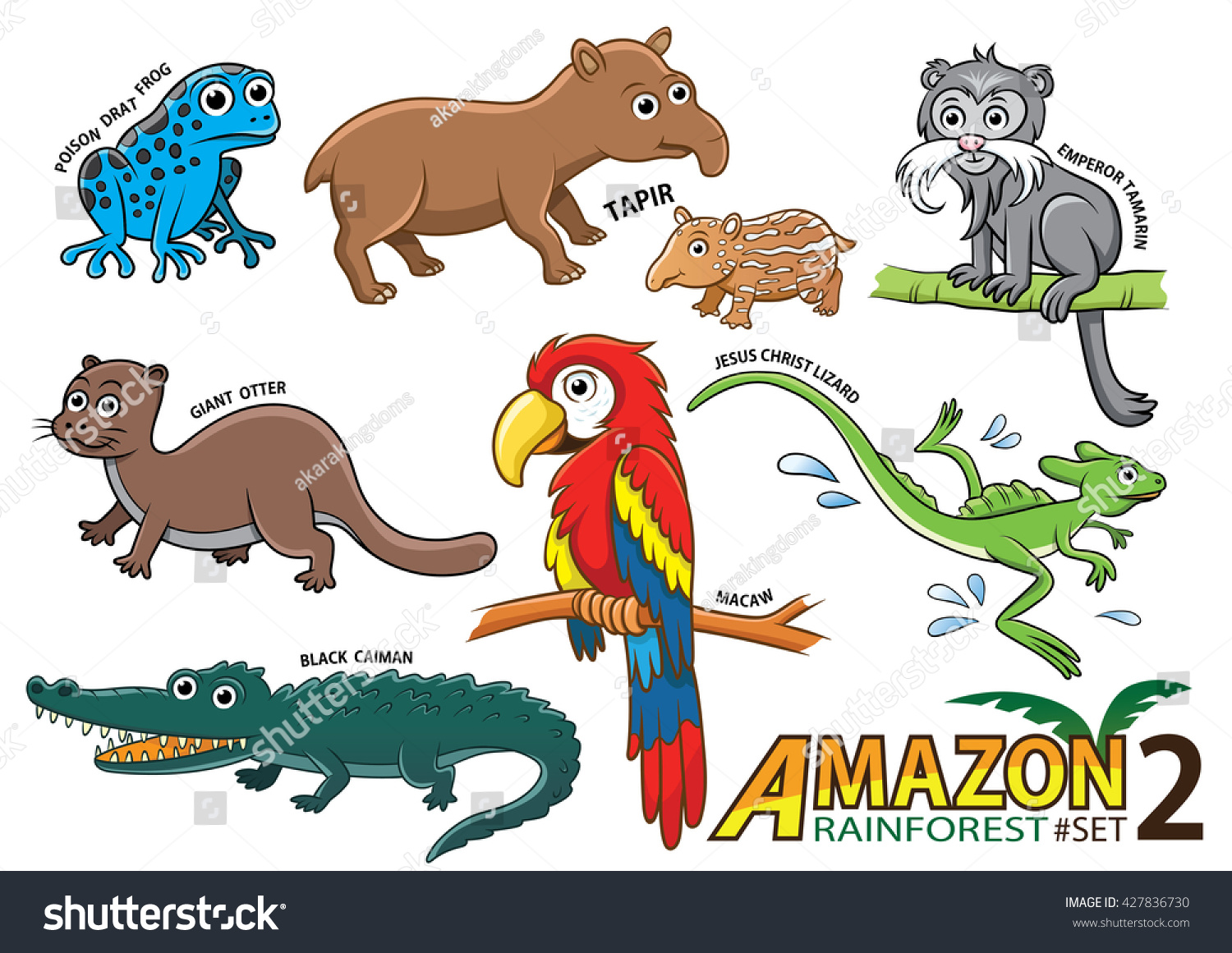 Set Cute Cartoon Animals Birds Amazon Stock Vector (Royalty Free ...