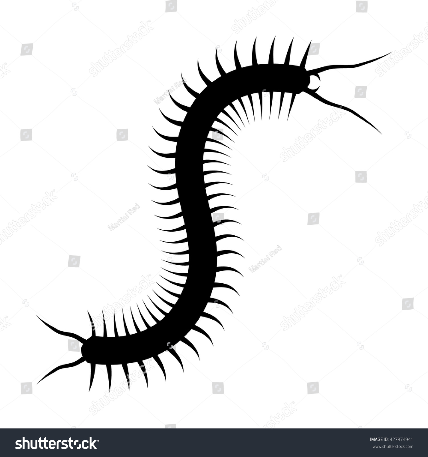 Centipede Flat Vector Icon Nature Apps Stock Vector (Royalty Free ...